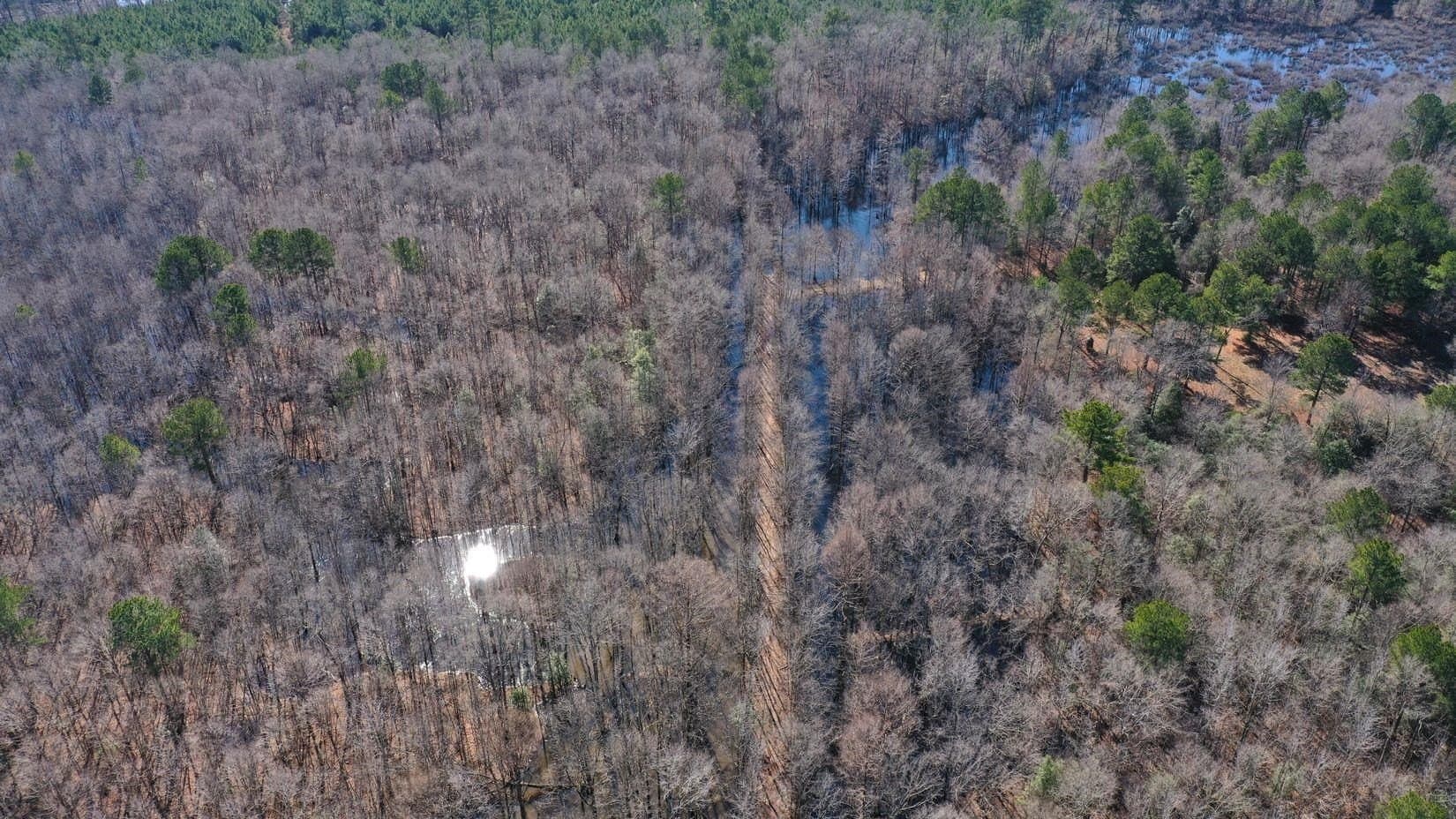 436.08 acres in Cass County gallery image 3