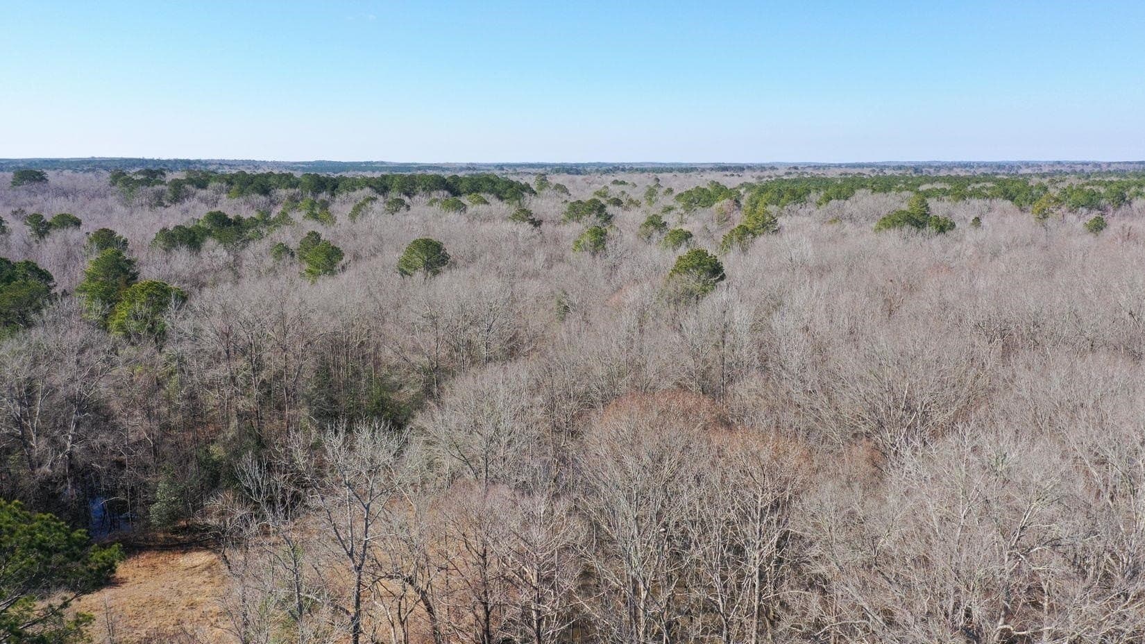 436.08 acres in Cass County - photo 48