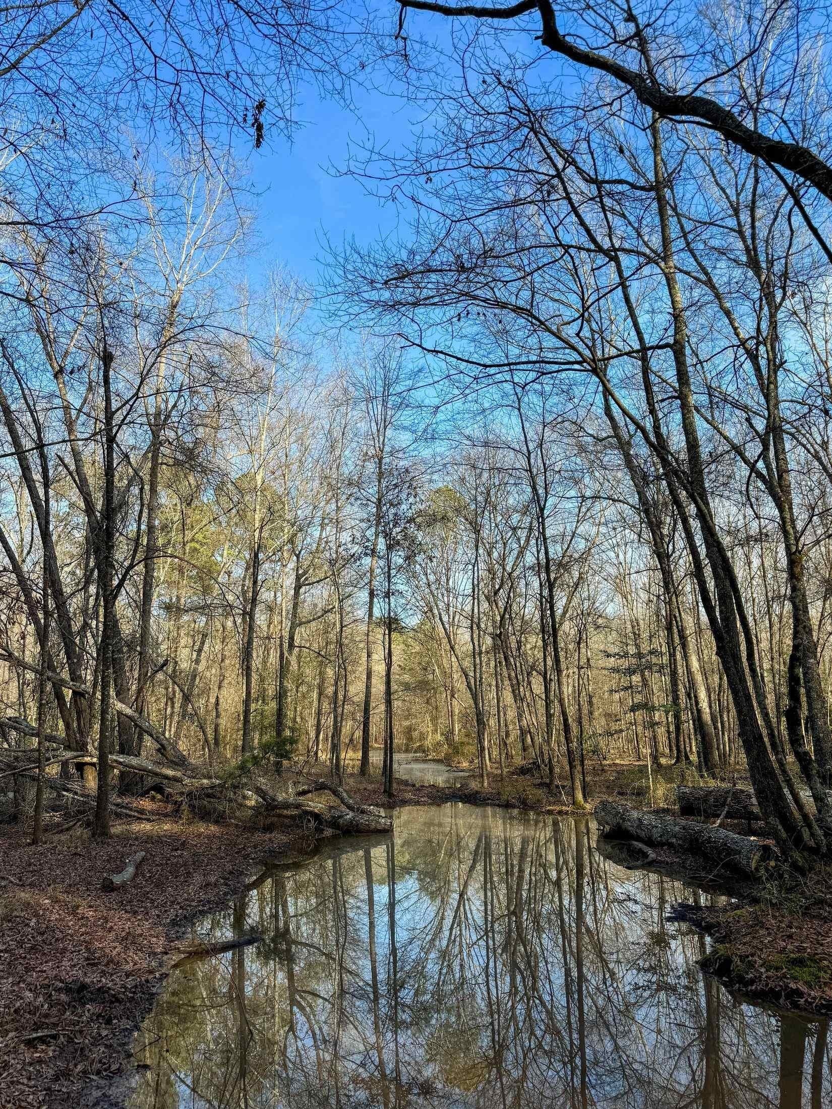 436.08 acres in Cass County - photo 27
