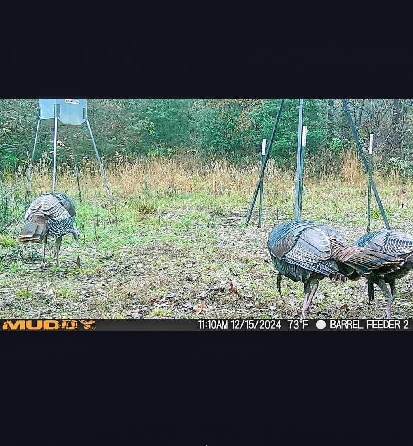 436.08 acres in Cass County - photo 43