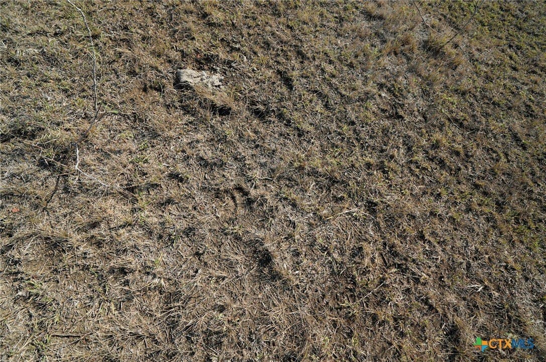 10.01 acres in Gonzales County gallery image 2