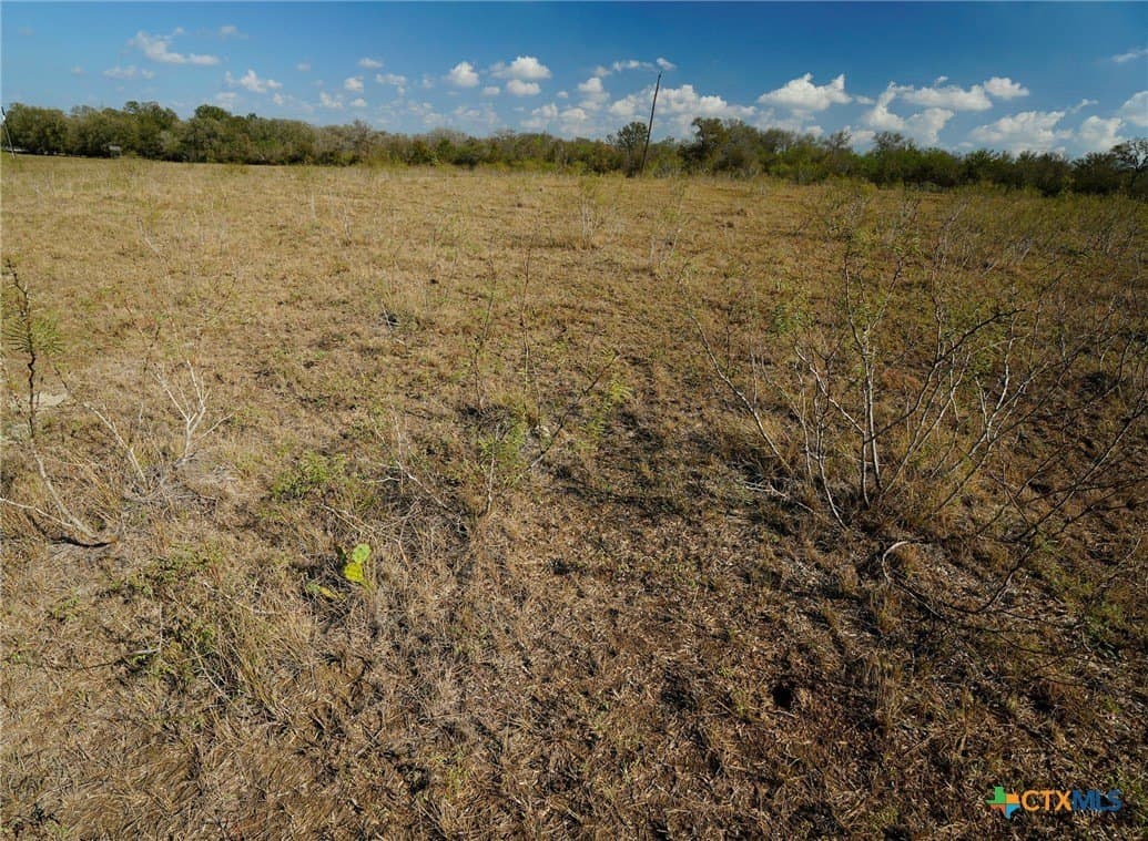10.01 acres in Gonzales County gallery image 4