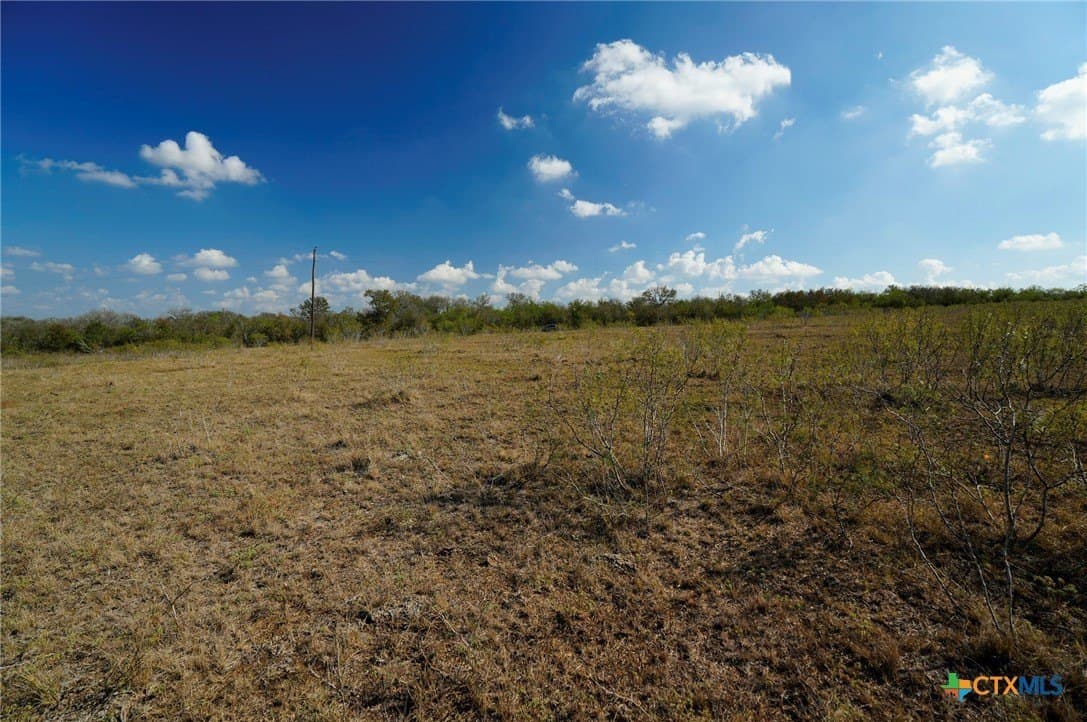 10.01 acres in Gonzales County gallery image 3