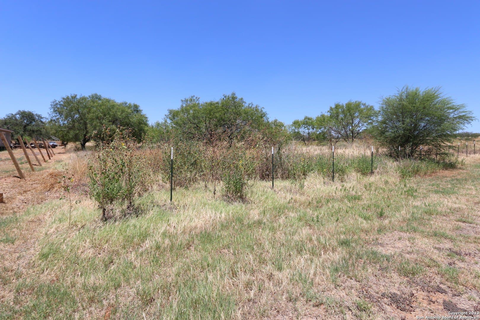 1.01 acres in Frio County gallery image 2
