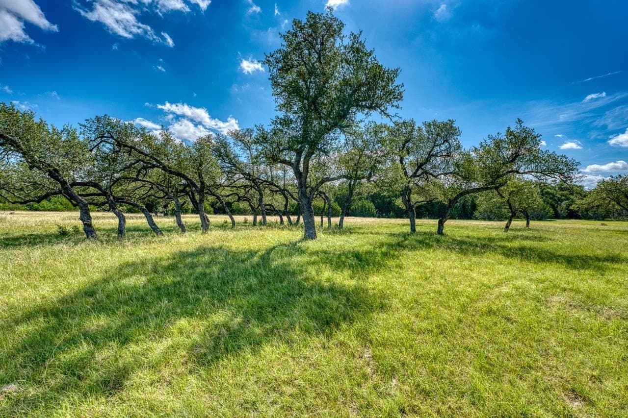 3.69 acres in Blanco County featured view