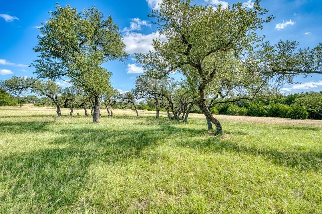 3.69 acres in Blanco County - photo 7
