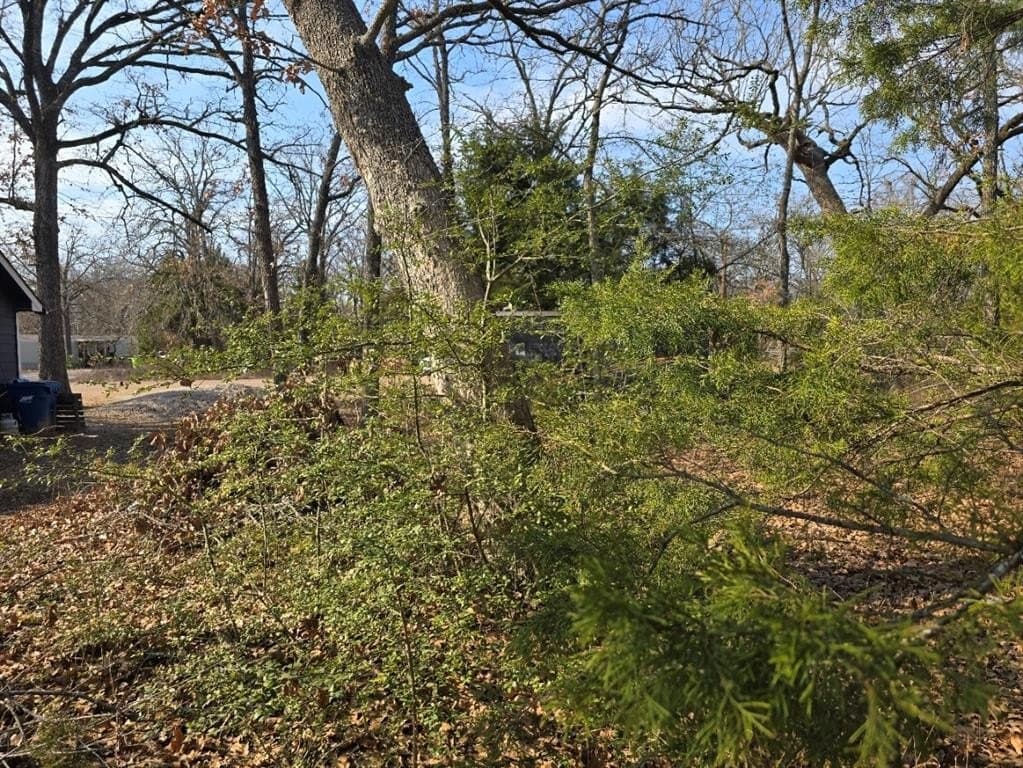 0.14 acres in Henderson County gallery image 3