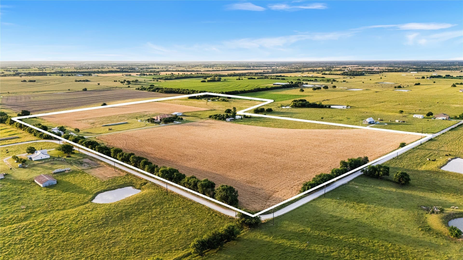 57.13 acres in Cooke County gallery image 3