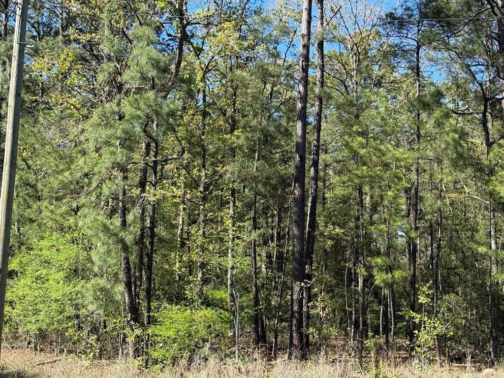 9.41 acres in Texas County gallery image 3