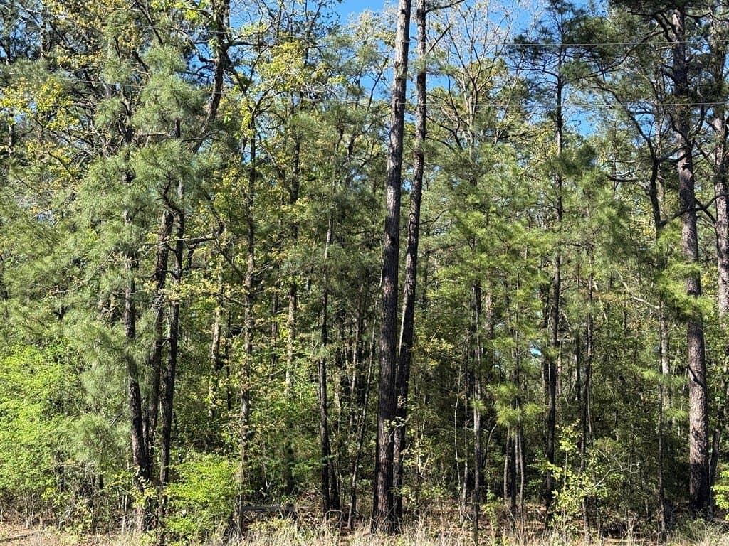 9.41 acres in Texas County gallery image 4