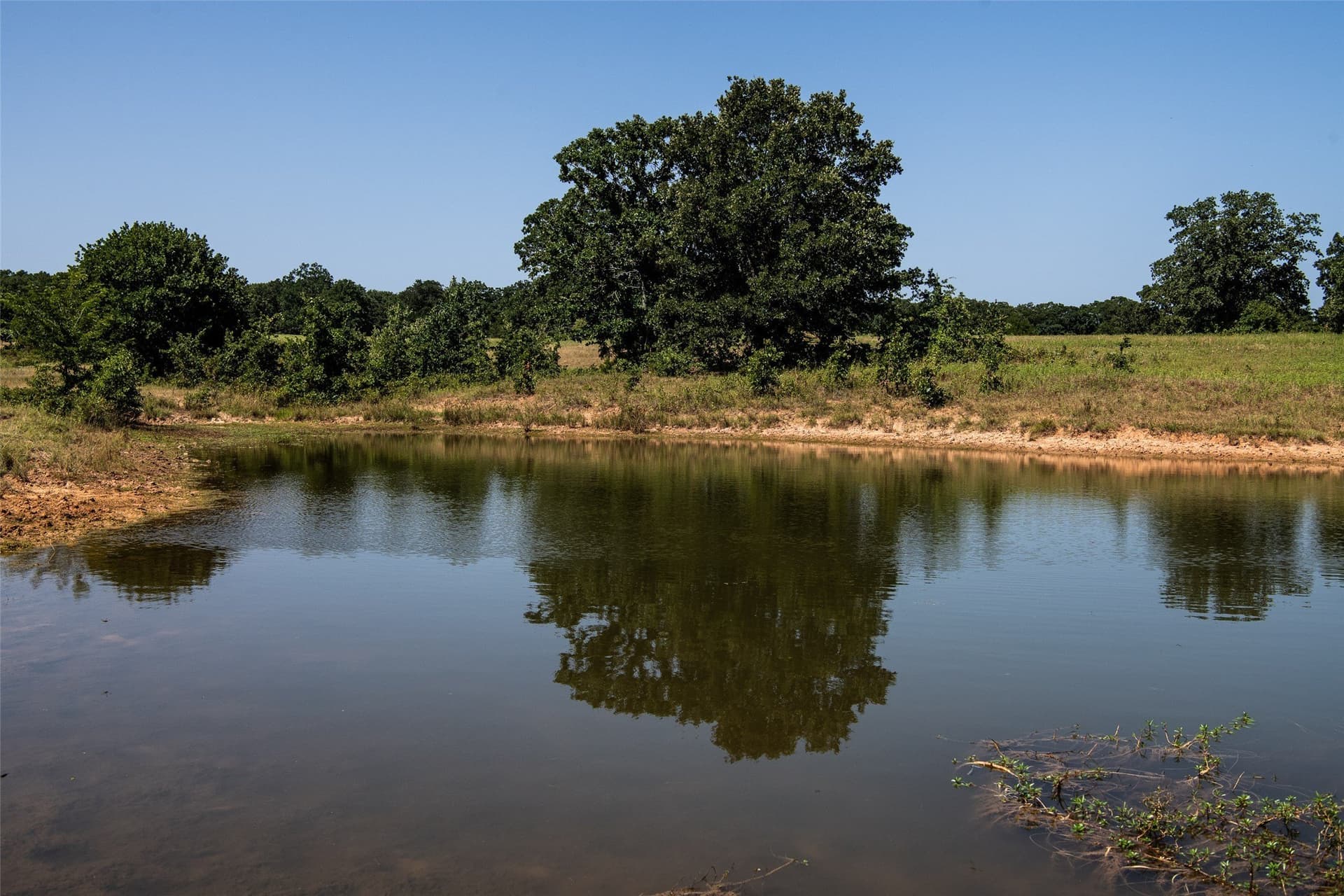 121.94 acres in Montague County - photo 5