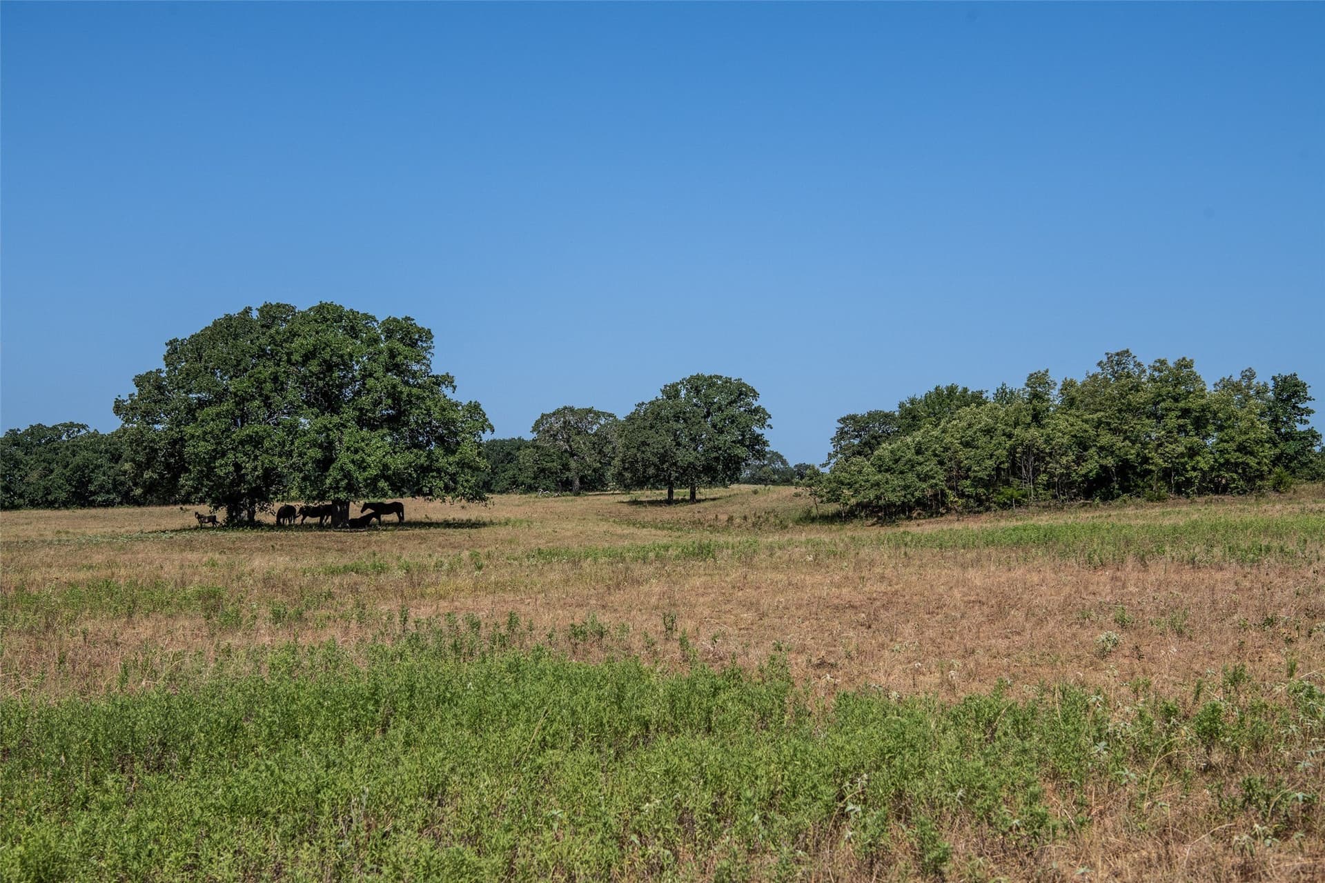 121.94 acres in Montague County - photo 20