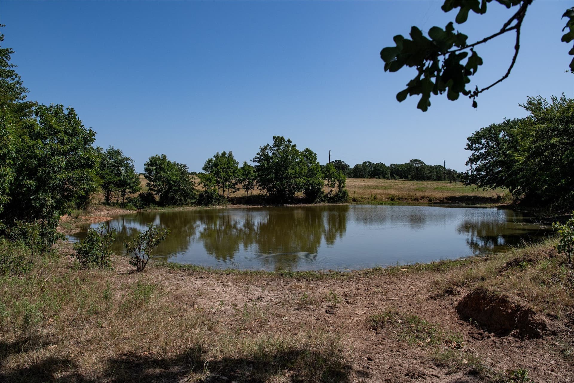 121.94 acres in Montague County - photo 6