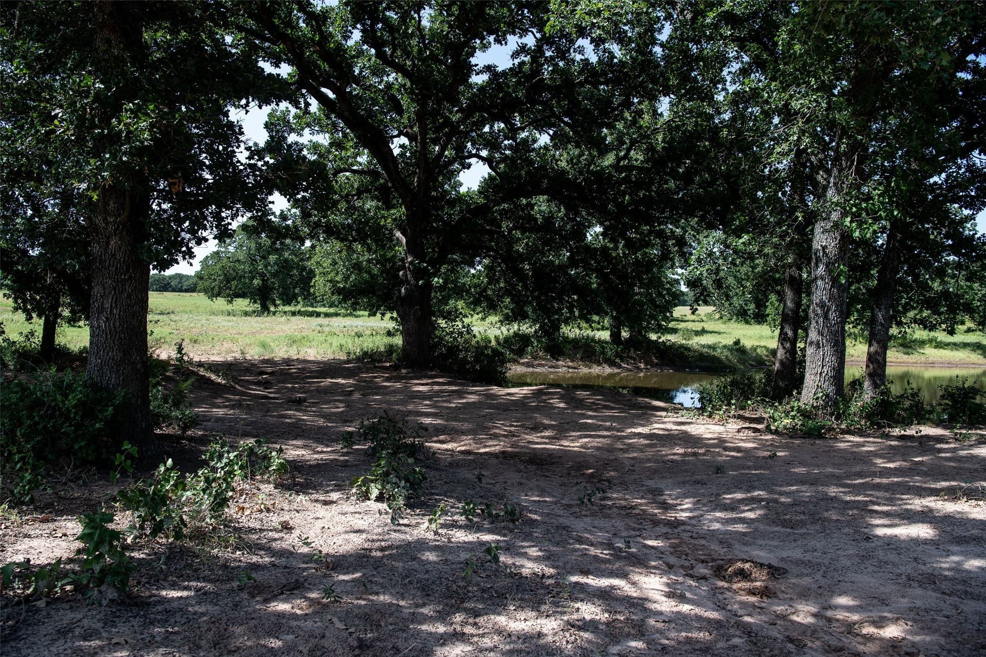 121.94 acres in Montague County - photo 16