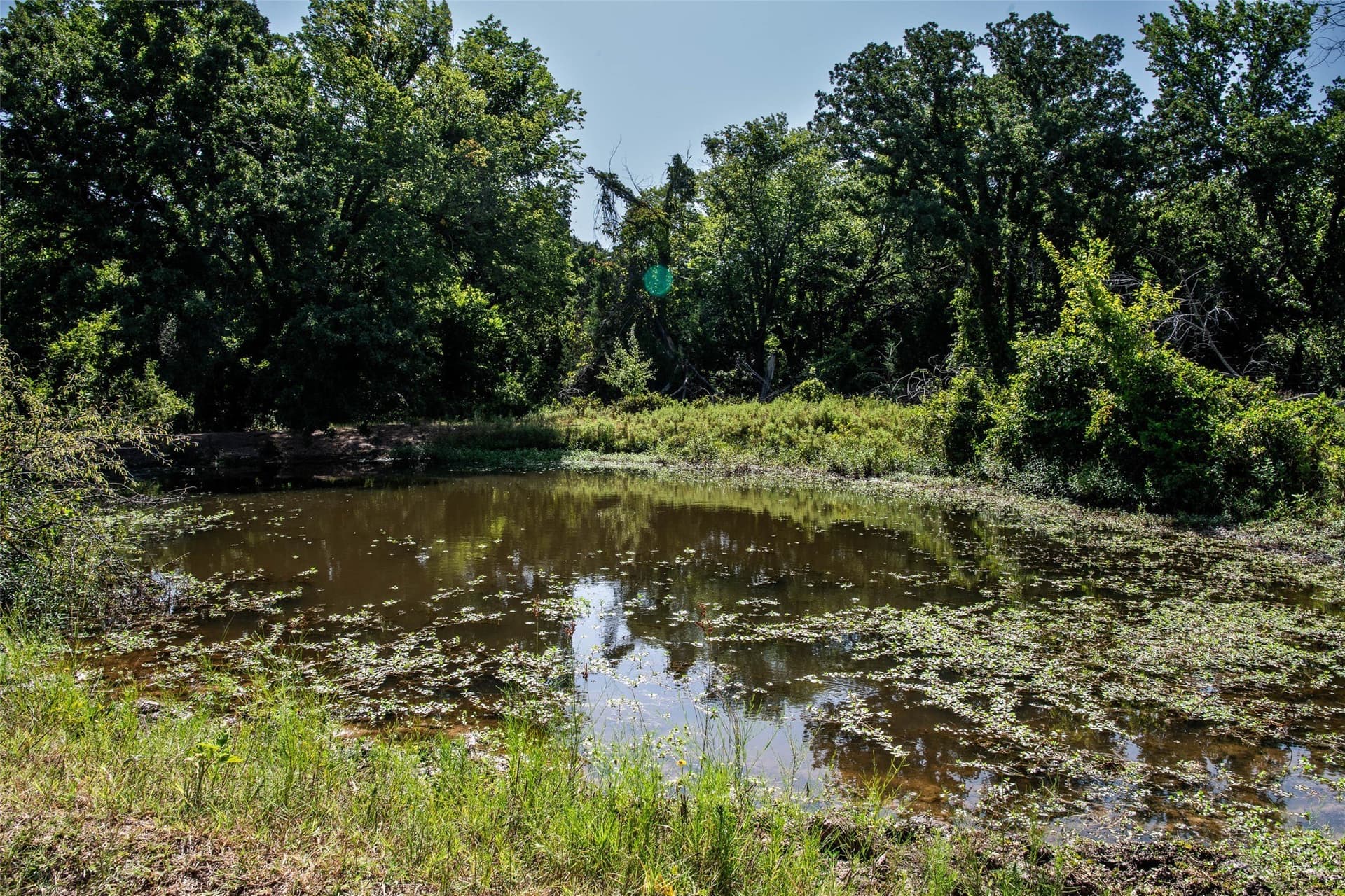 121.94 acres in Montague County - photo 10