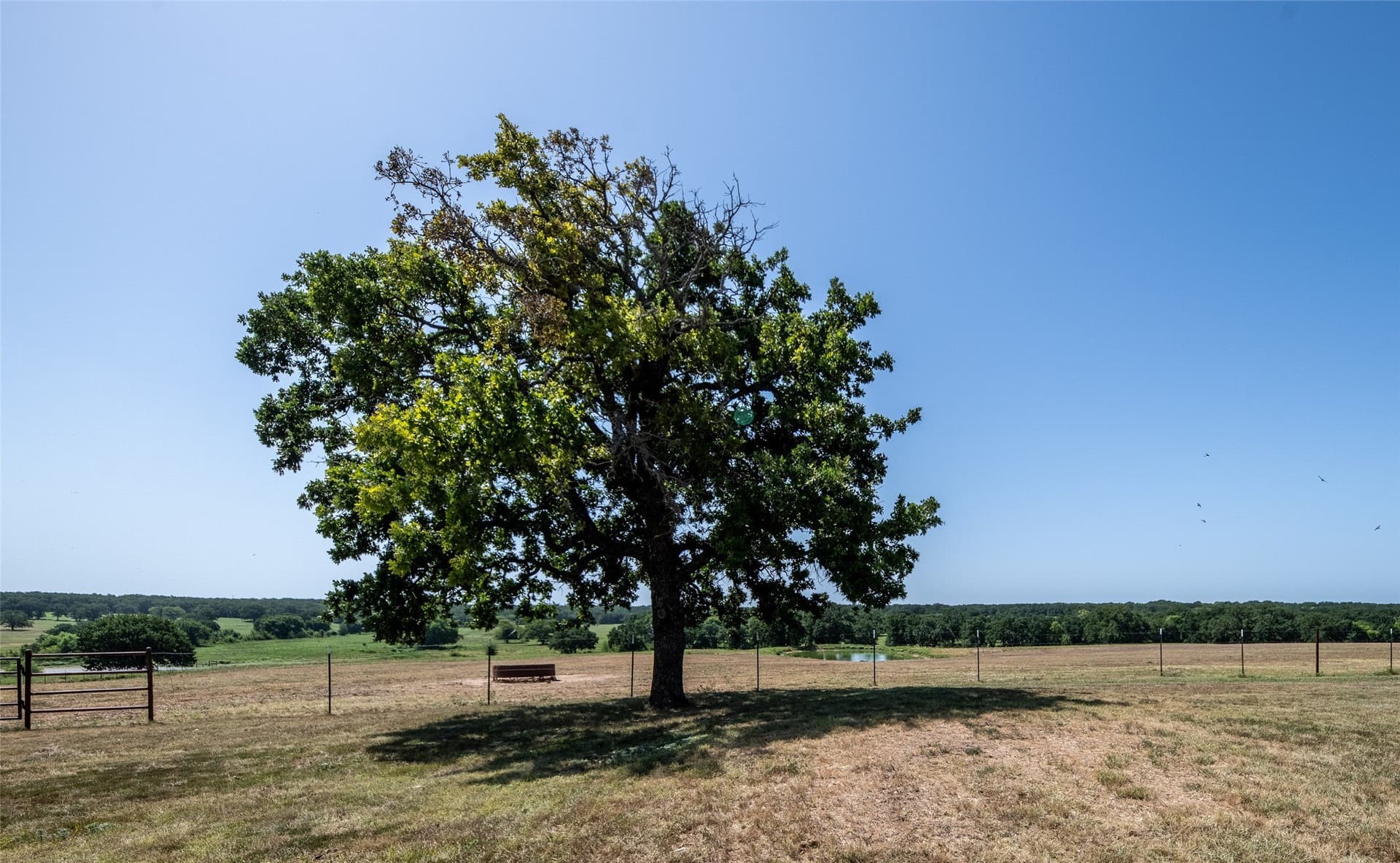 121.94 acres in Montague County - photo 36