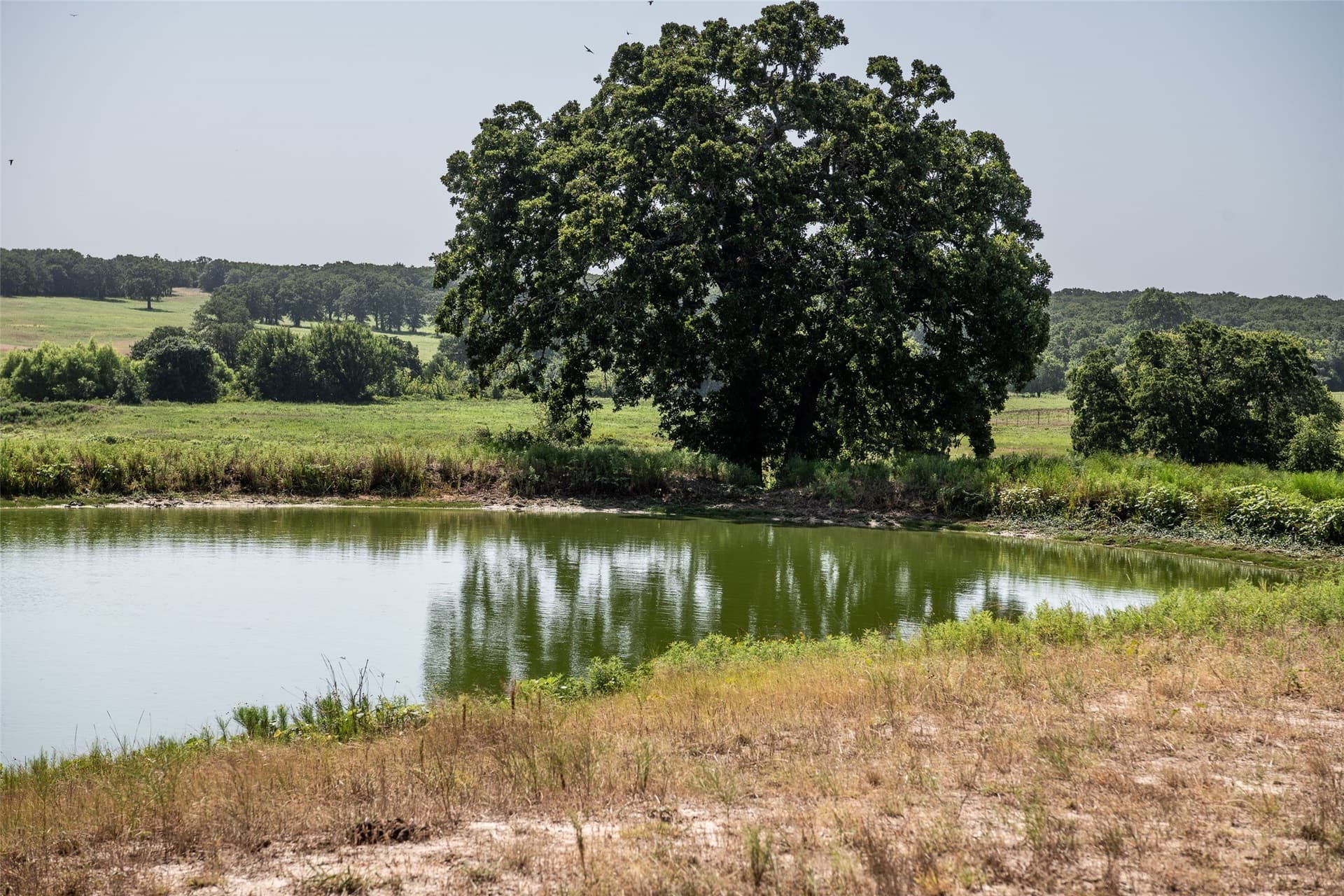 121.94 acres in Montague County - photo 13