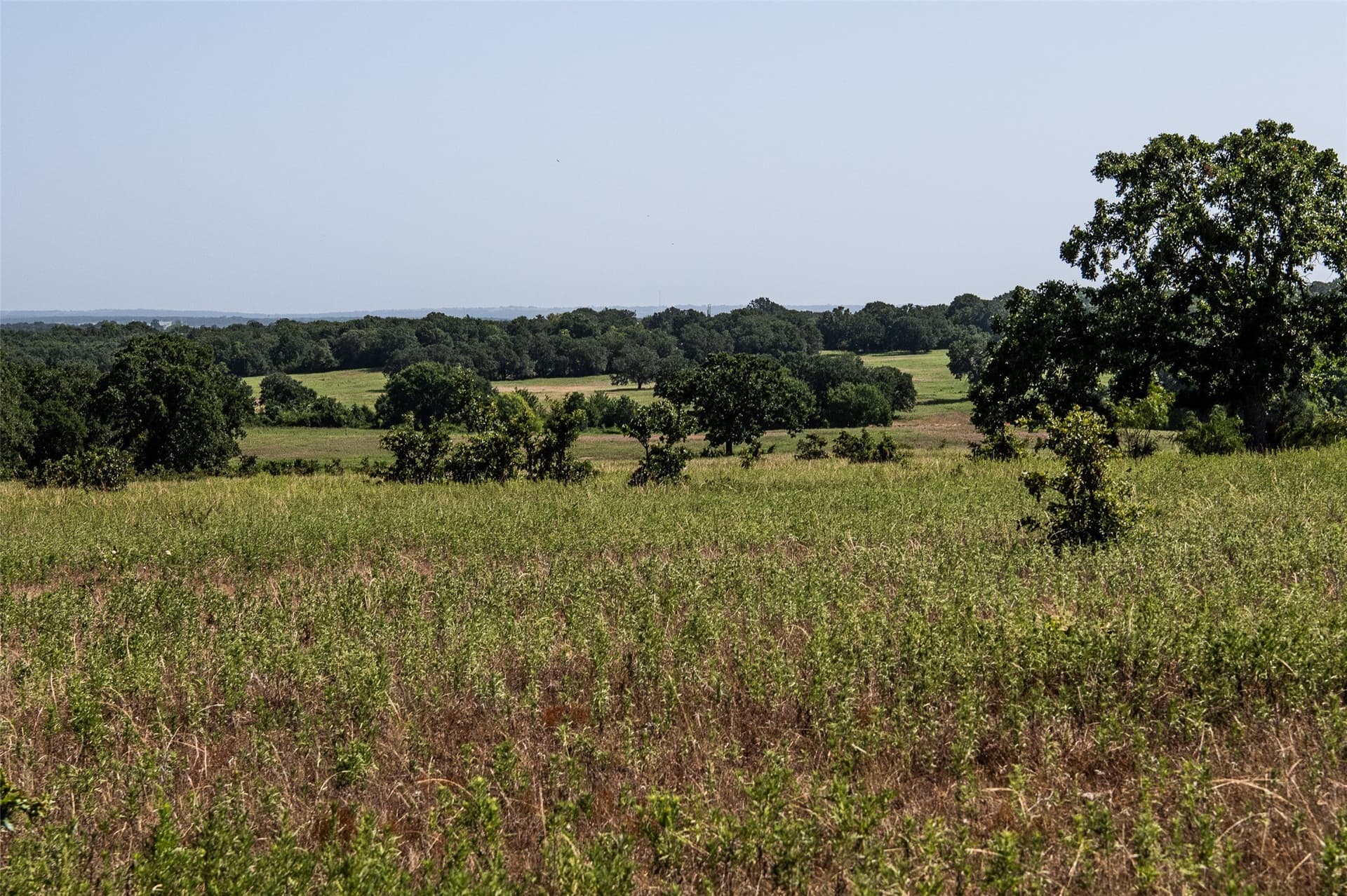 121.94 acres in Montague County - photo 21