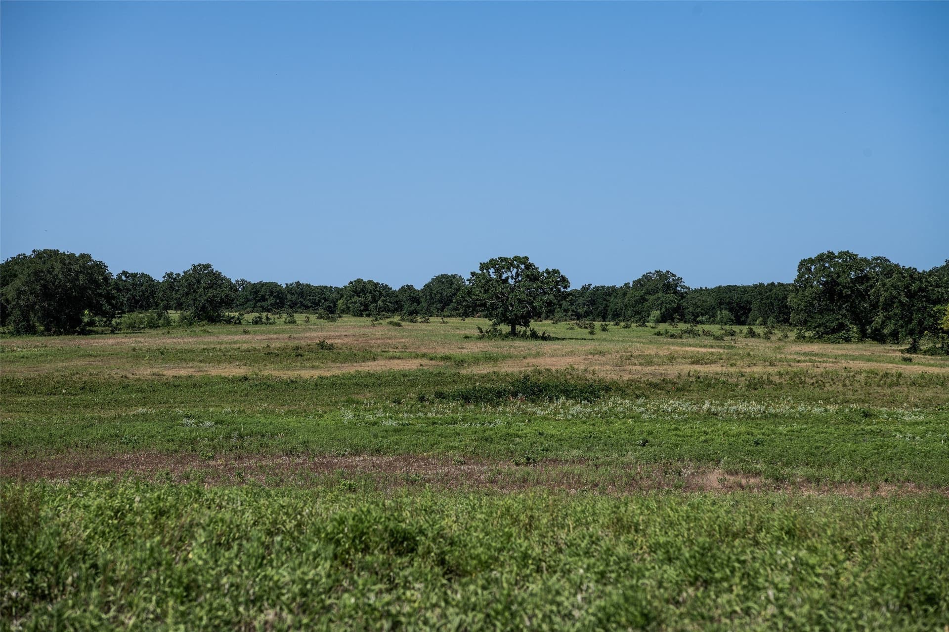 121.94 acres in Montague County - photo 26