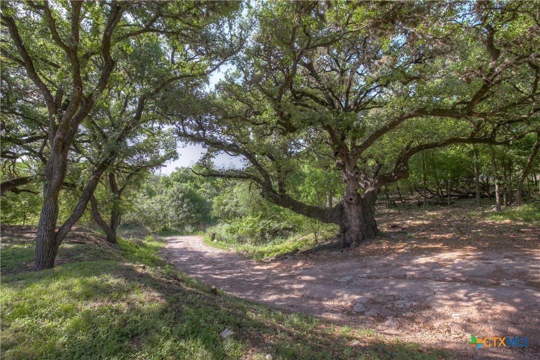 1 acres in Comal County gallery image 3