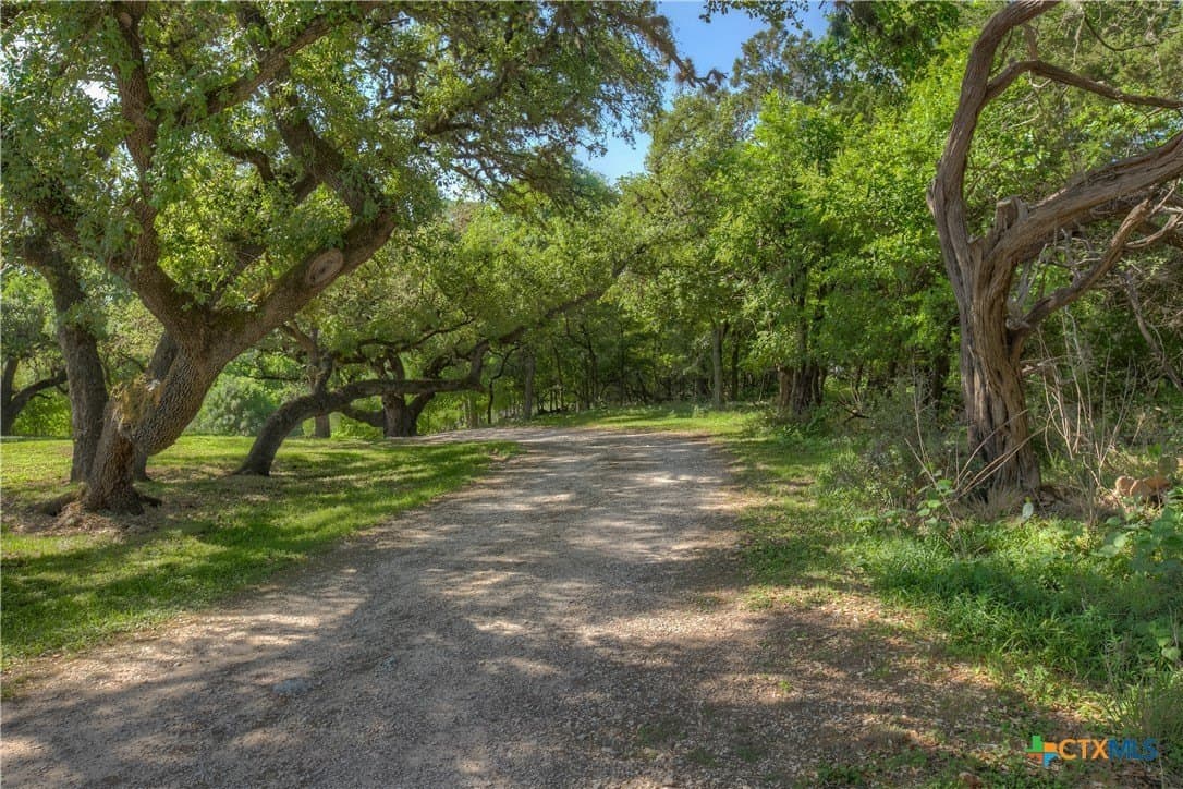 1 acres in Comal County - photo 7