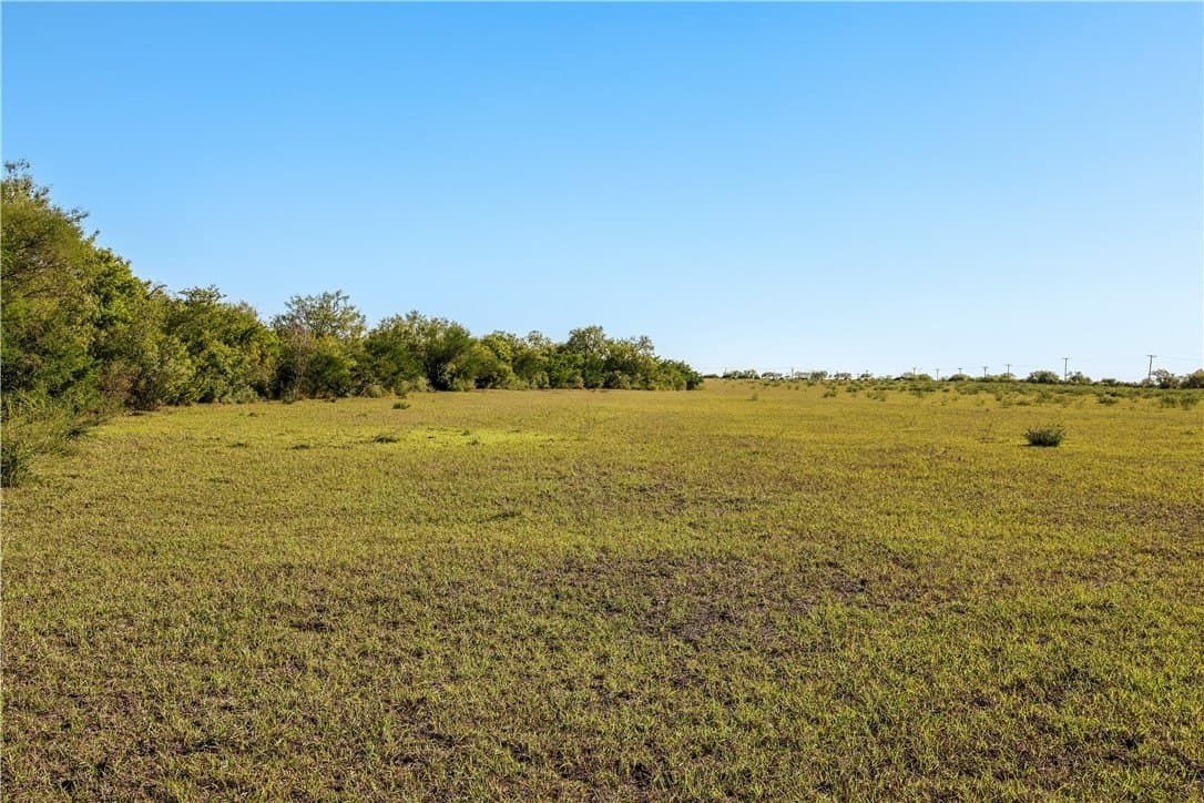 18.25 acres in Jim Wells County gallery image 4