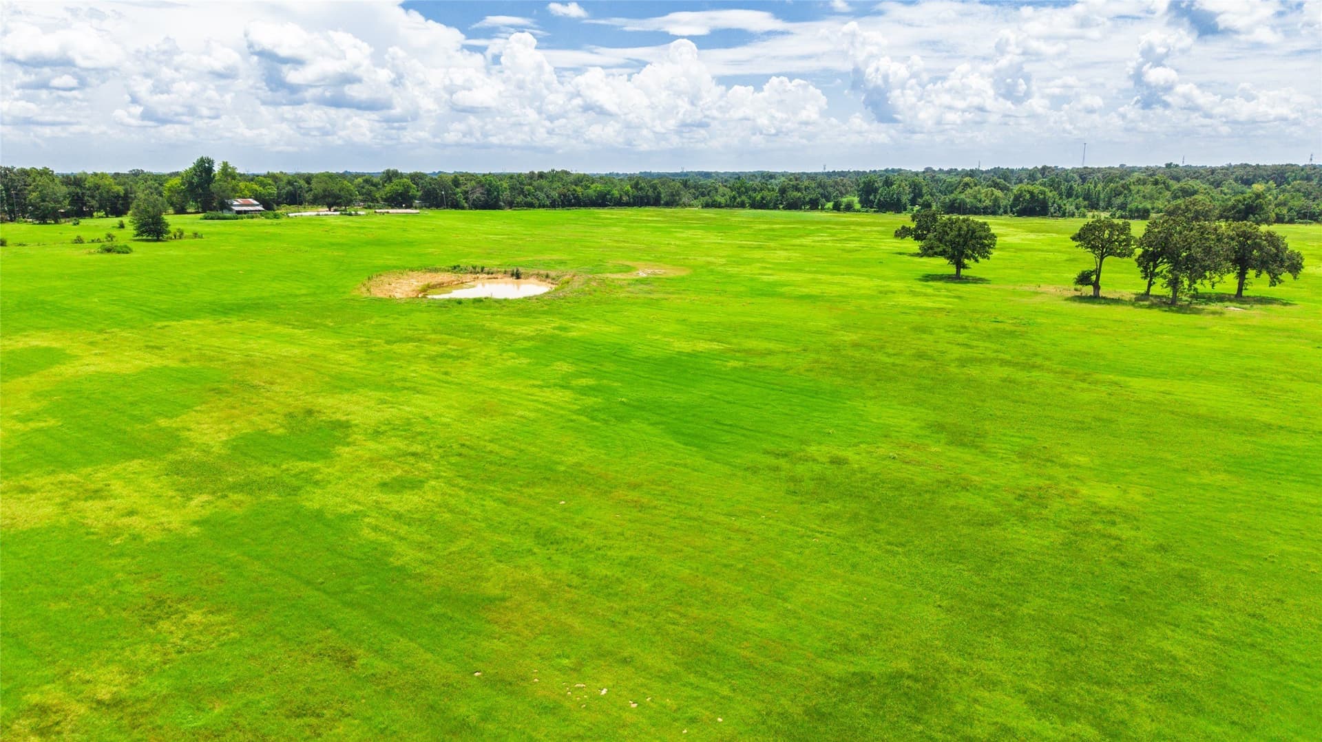127 acres in Hopkins County - photo 5