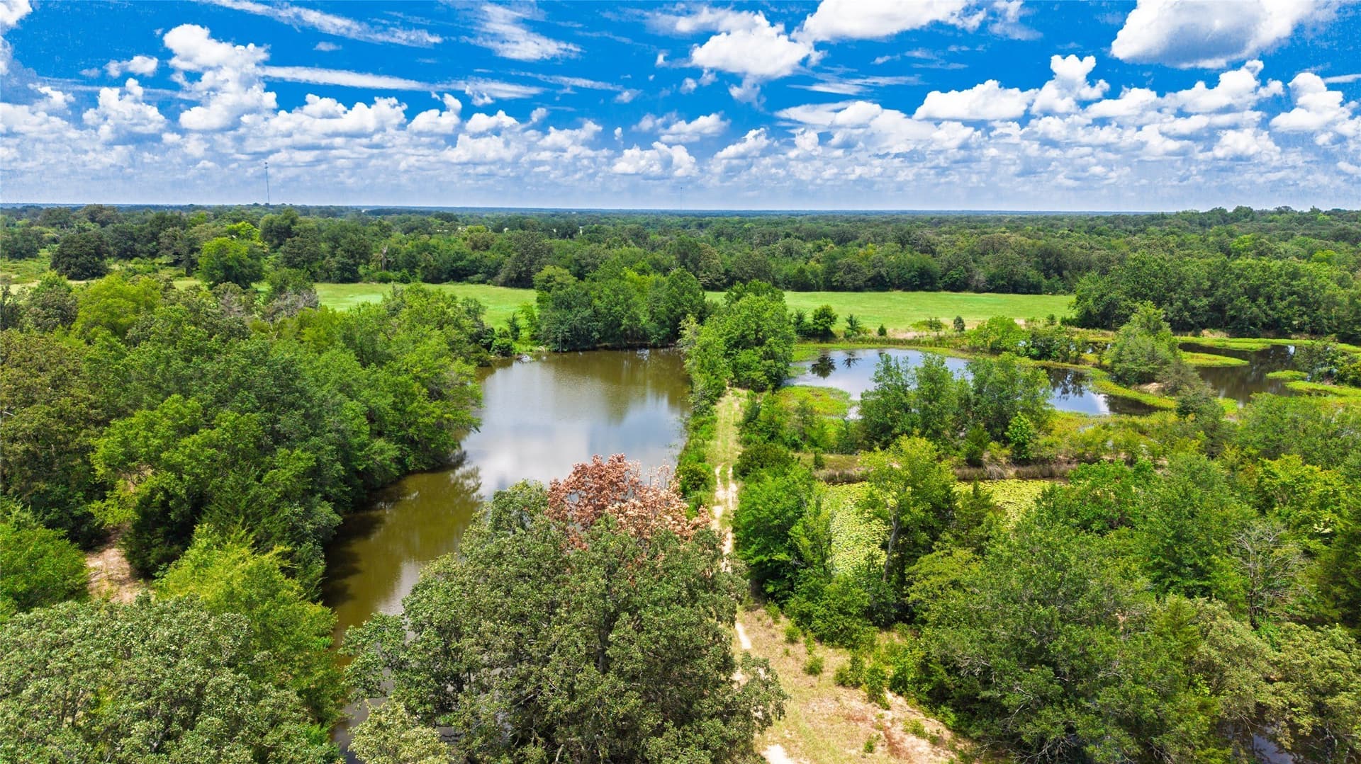 127 acres in Hopkins County - photo 19