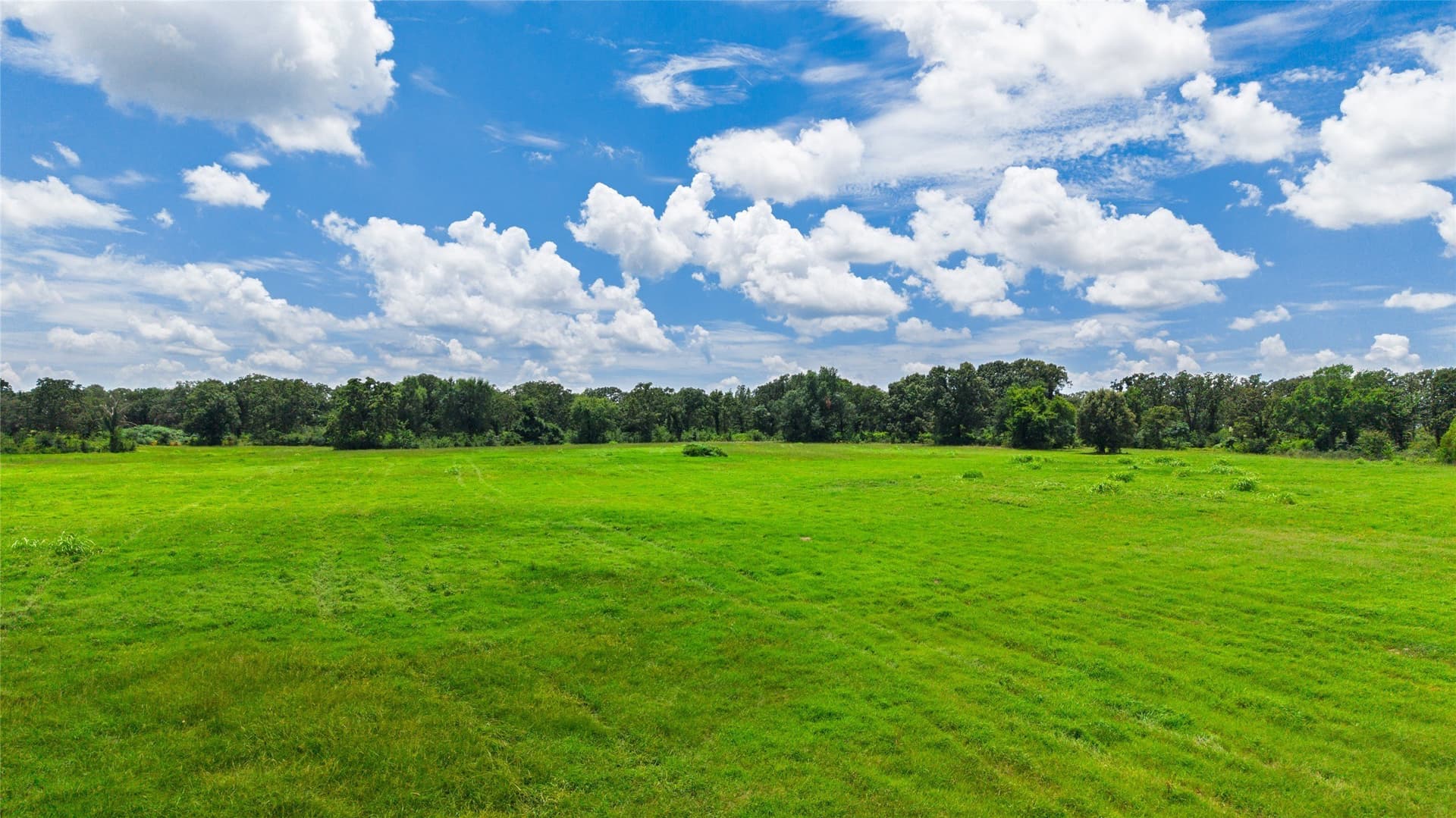 127 acres in Hopkins County - photo 14