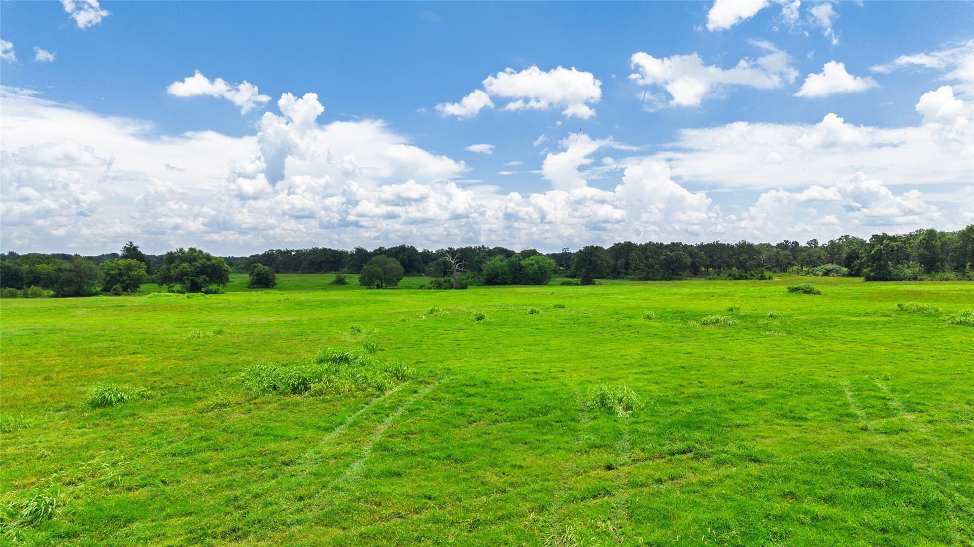127 acres in Hopkins County - photo 13