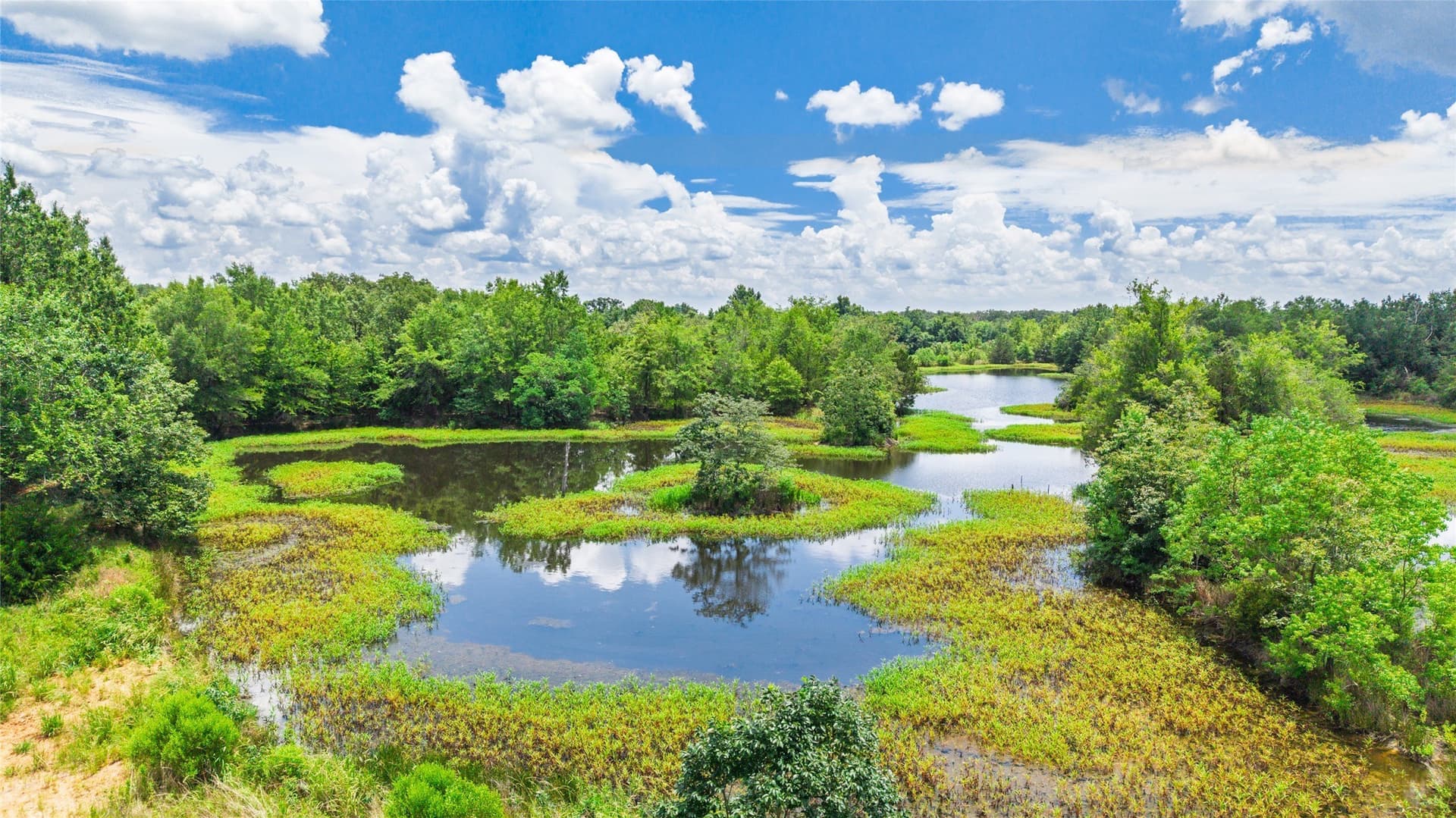 127 acres in Hopkins County - photo 12