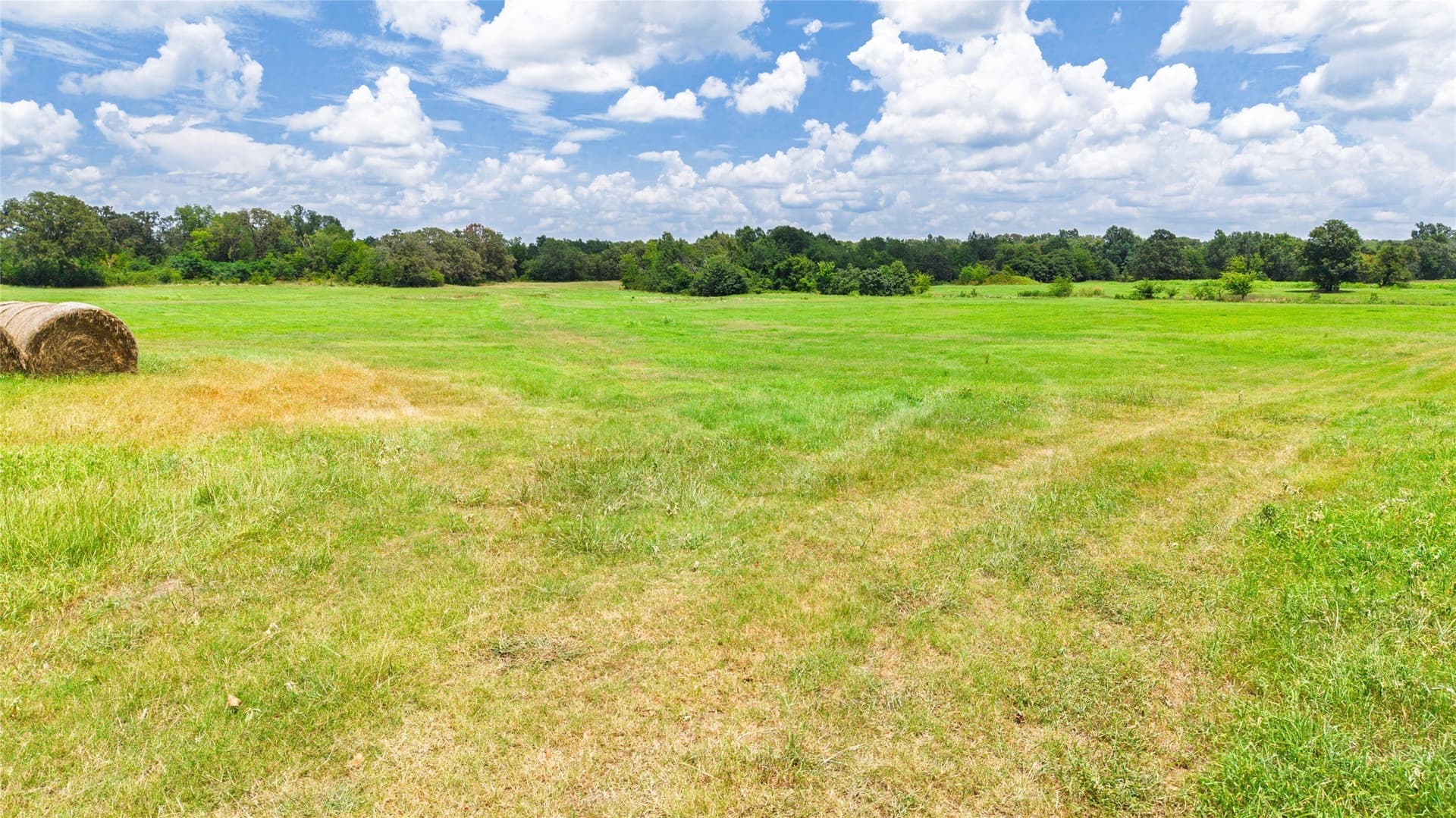 127 acres in Hopkins County - photo 21
