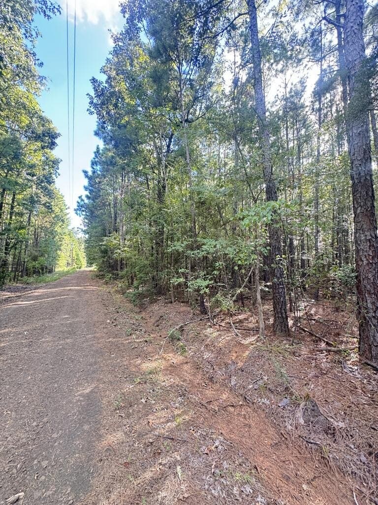 0.67 acres in Texas County - photo 2