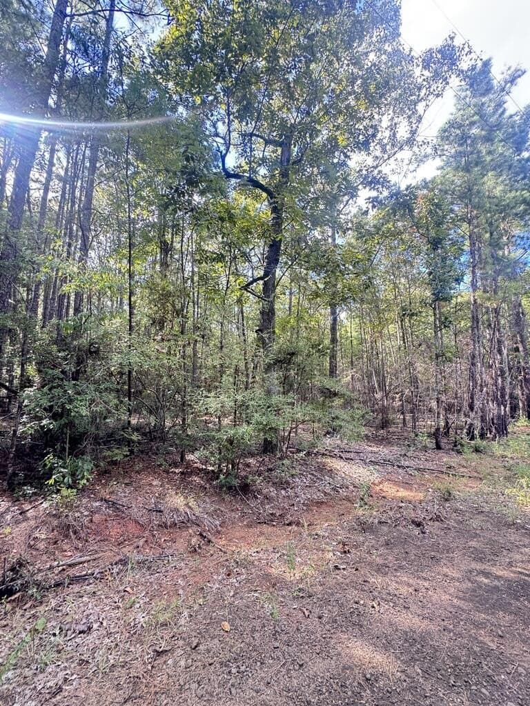 0.67 acres in Texas County - photo 3