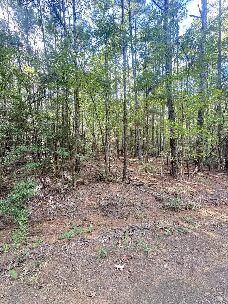 0.67 acres in Texas County