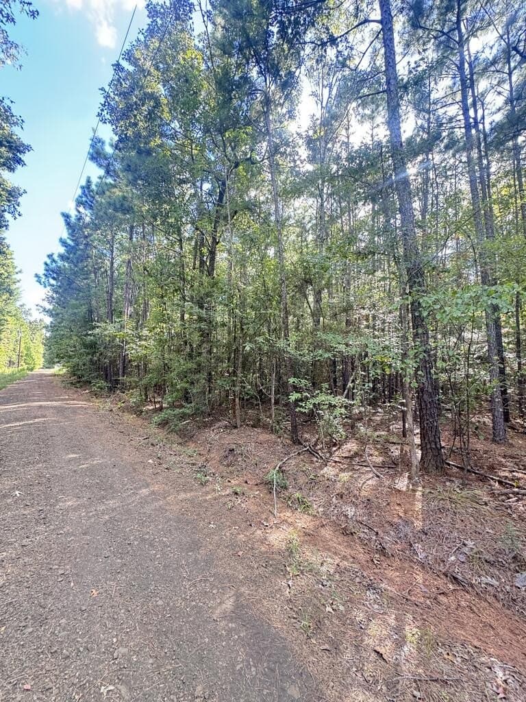 0.67 acres in Texas County - photo 4