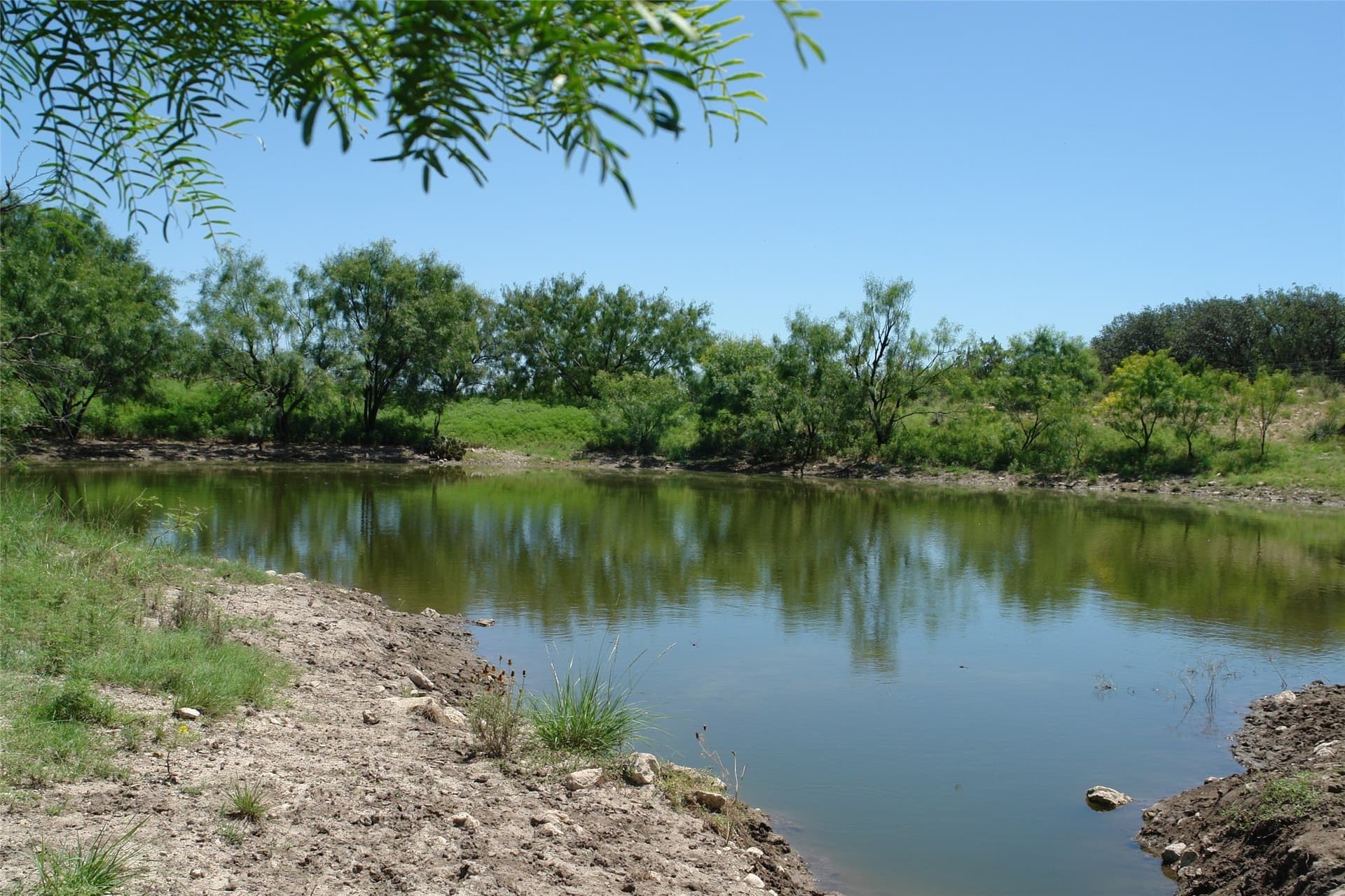 310 acres in McCulloch County - photo 2