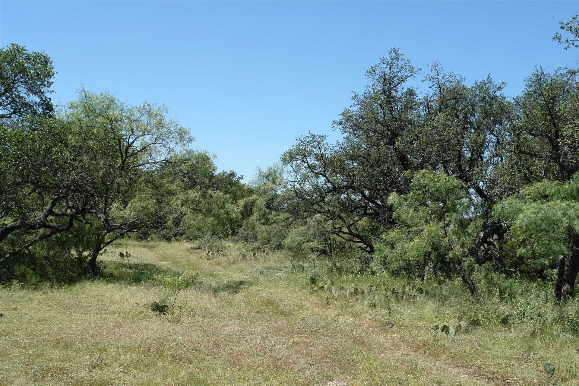 310 acres in McCulloch County - photo 3