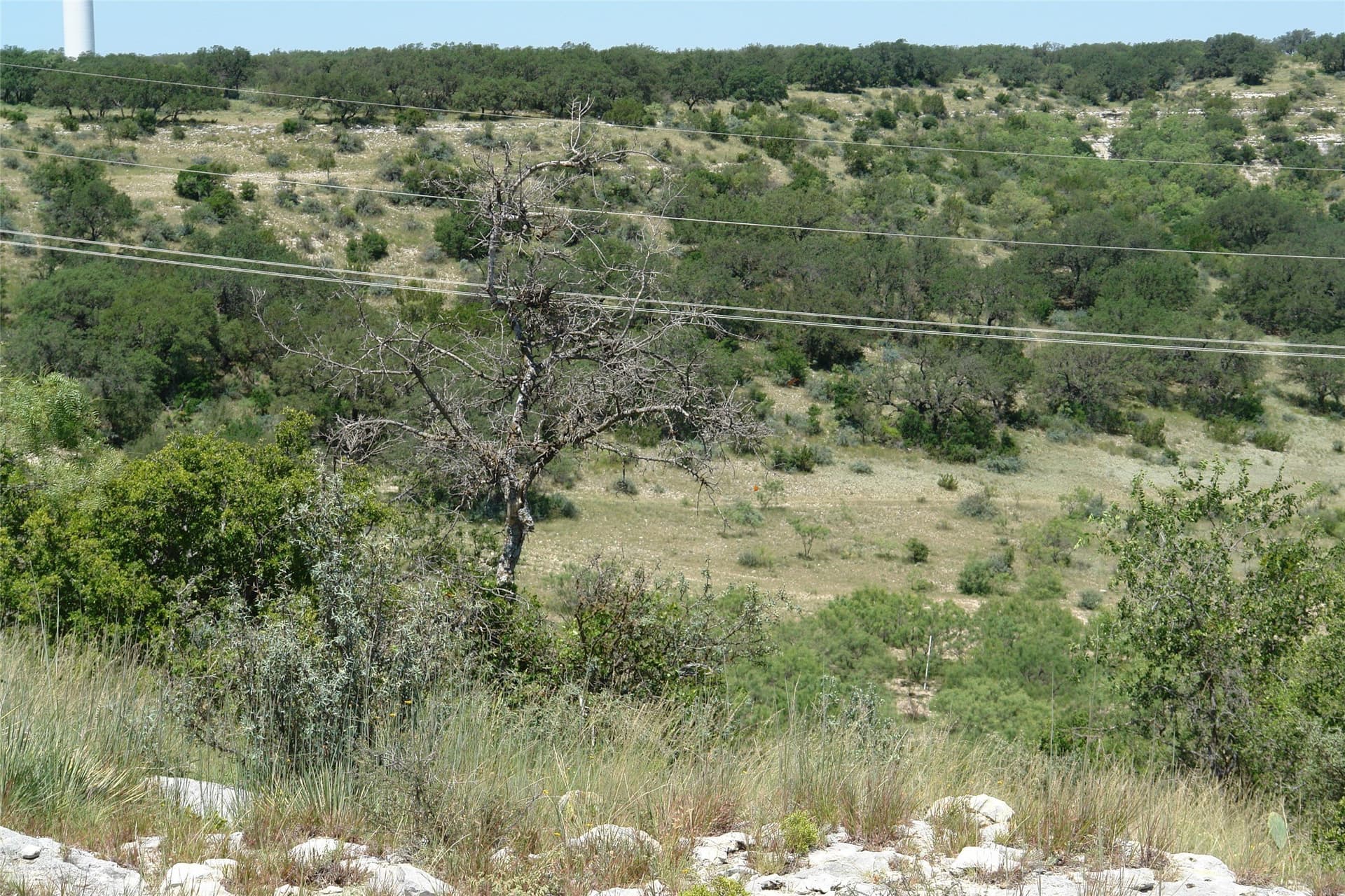 310 acres in McCulloch County - photo 9