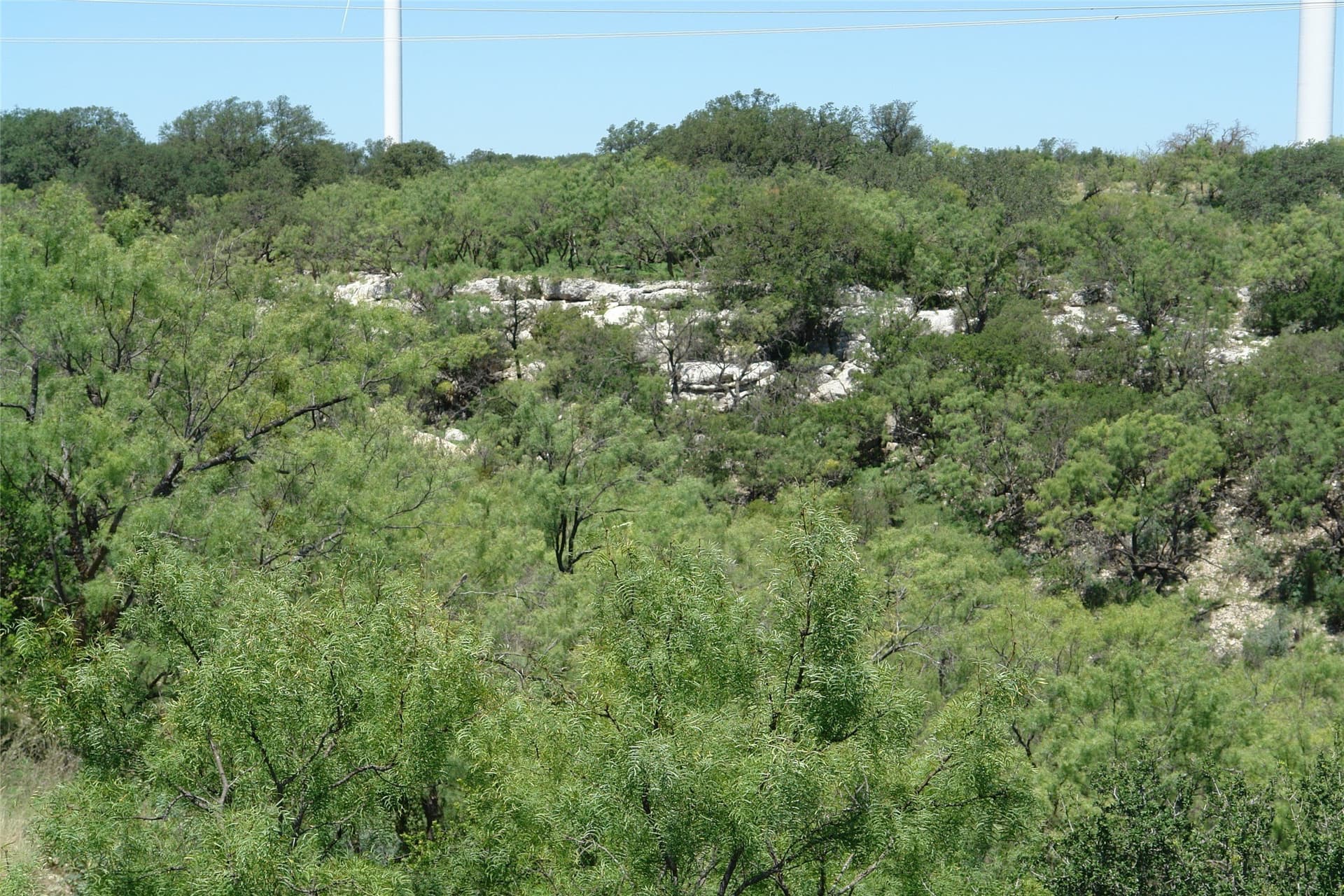 310 acres in McCulloch County - photo 10