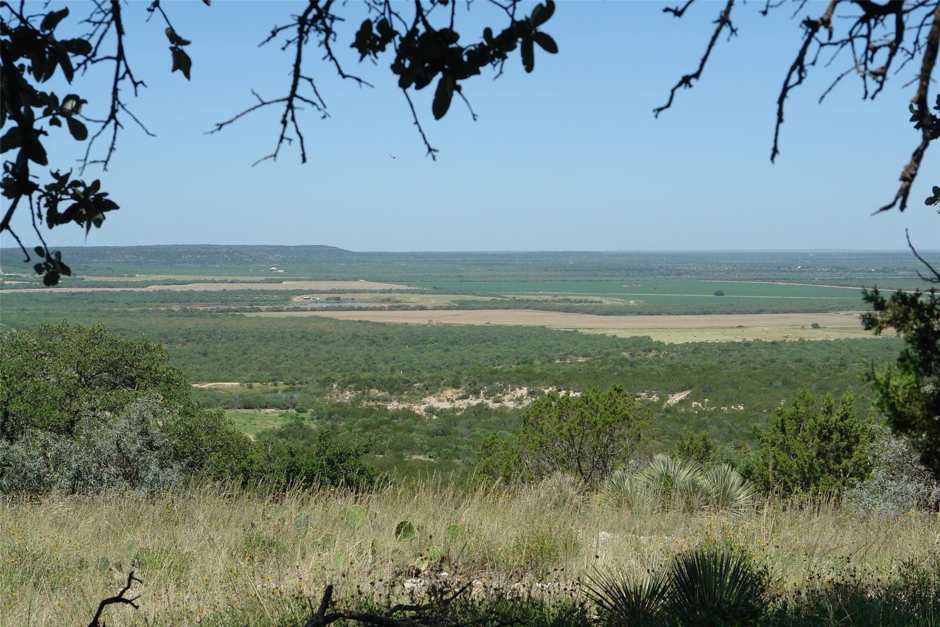 310 acres in McCulloch County