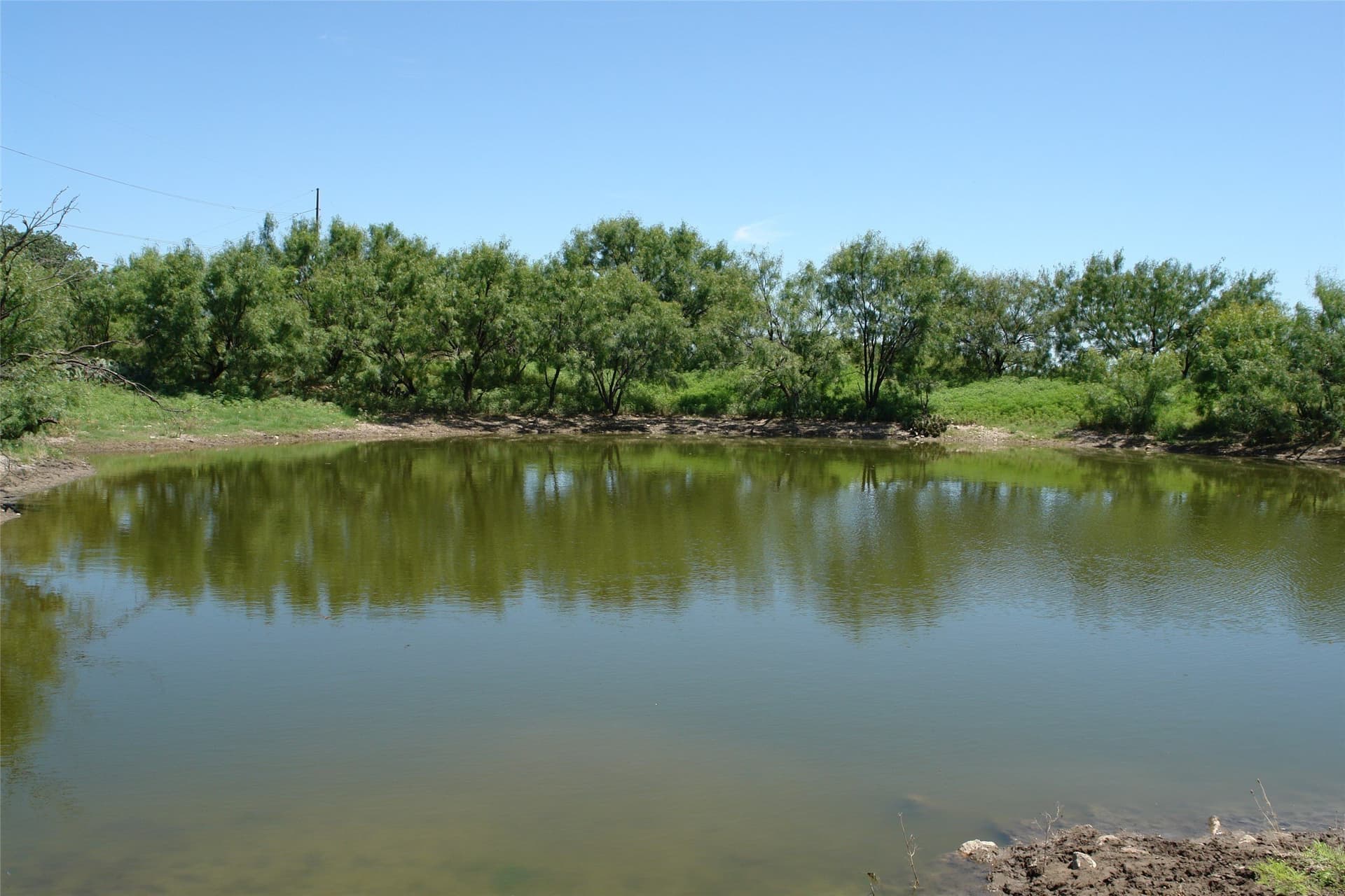 310 acres in McCulloch County - photo 6