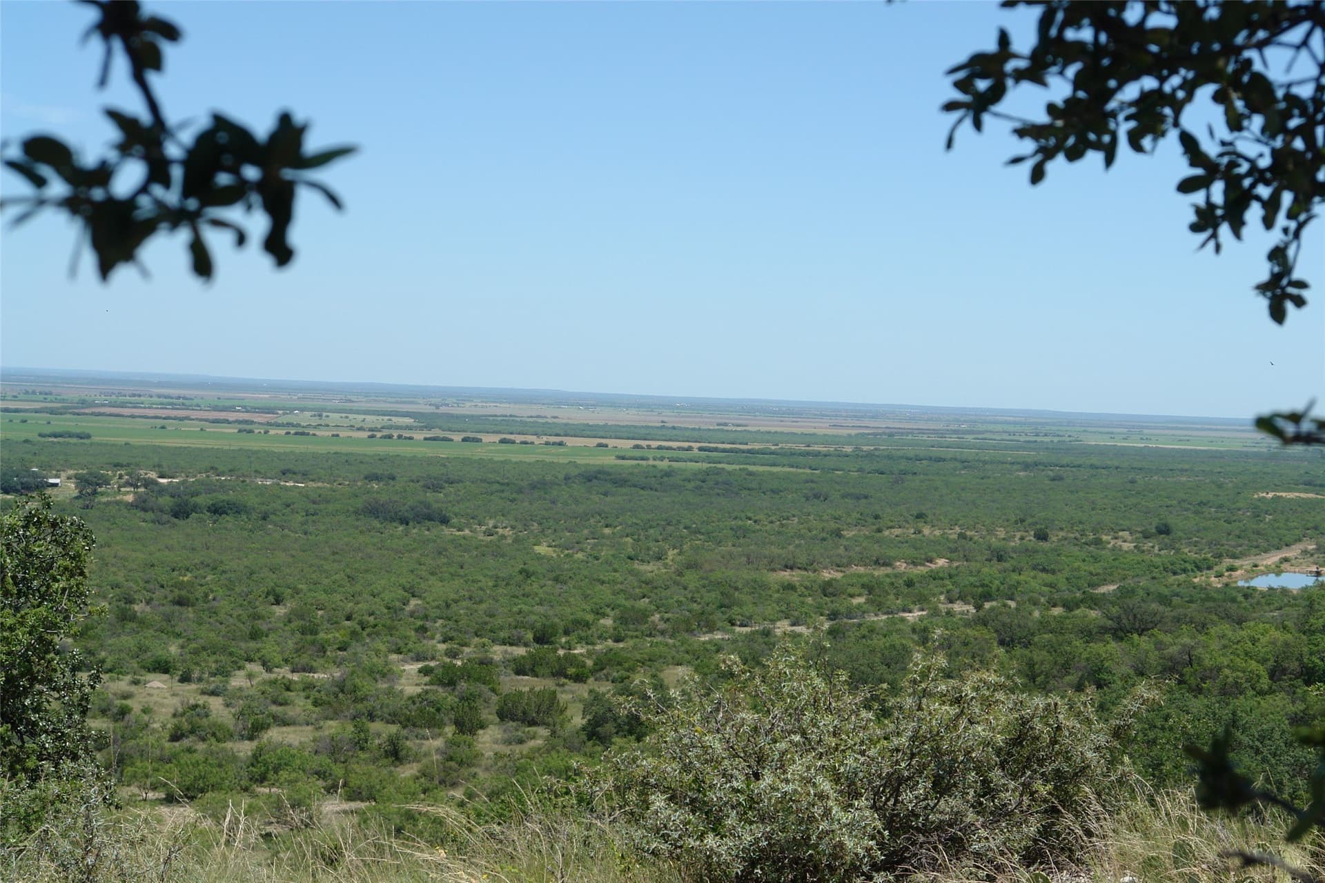 310 acres in McCulloch County - photo 4