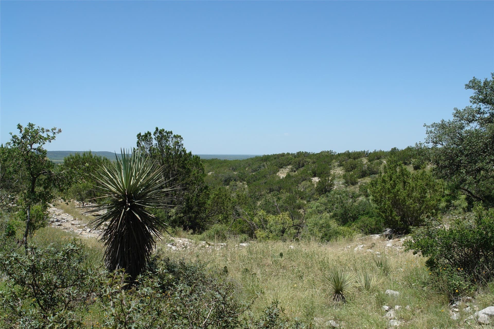 310 acres in McCulloch County - photo 13