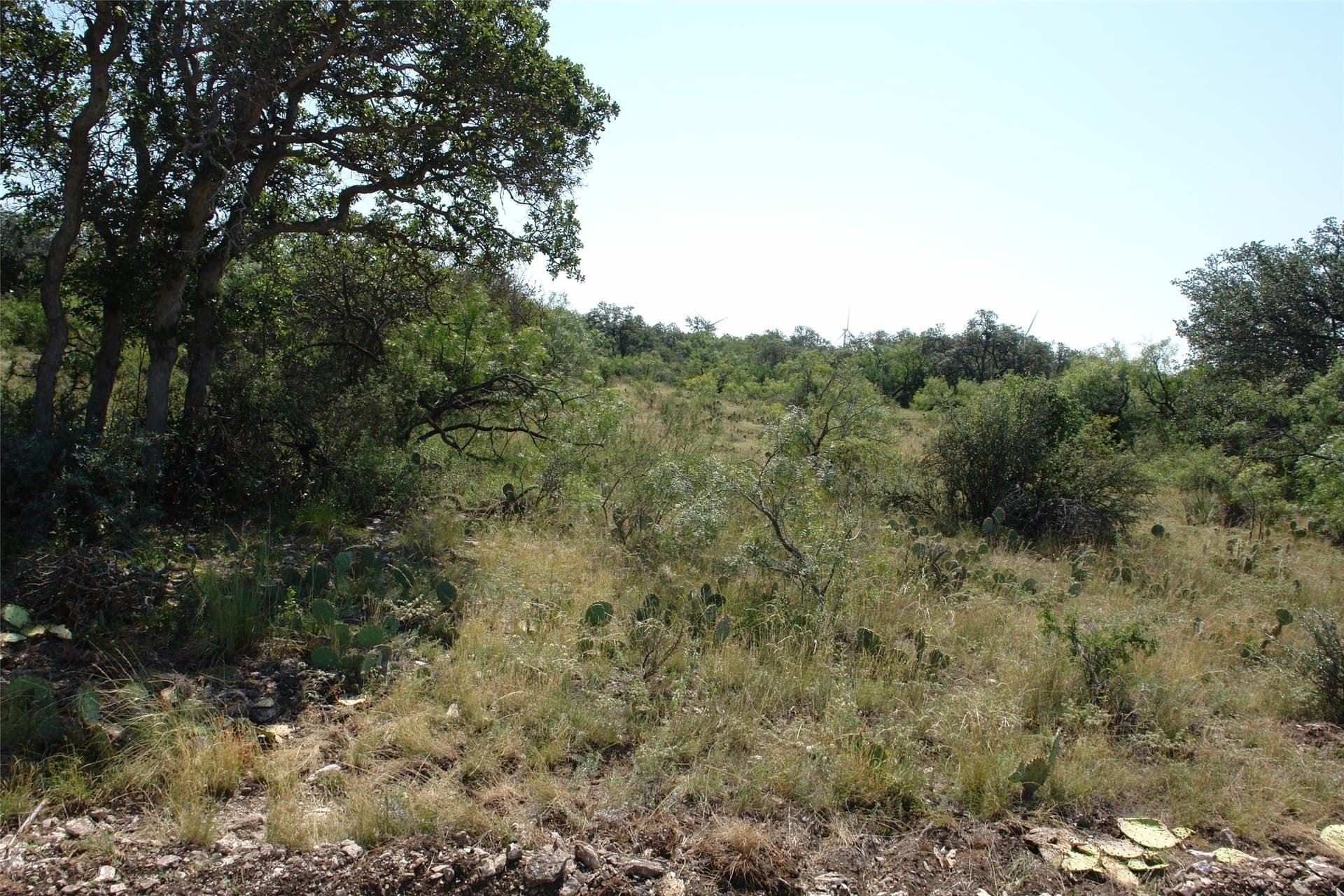 310 acres in McCulloch County - photo 29