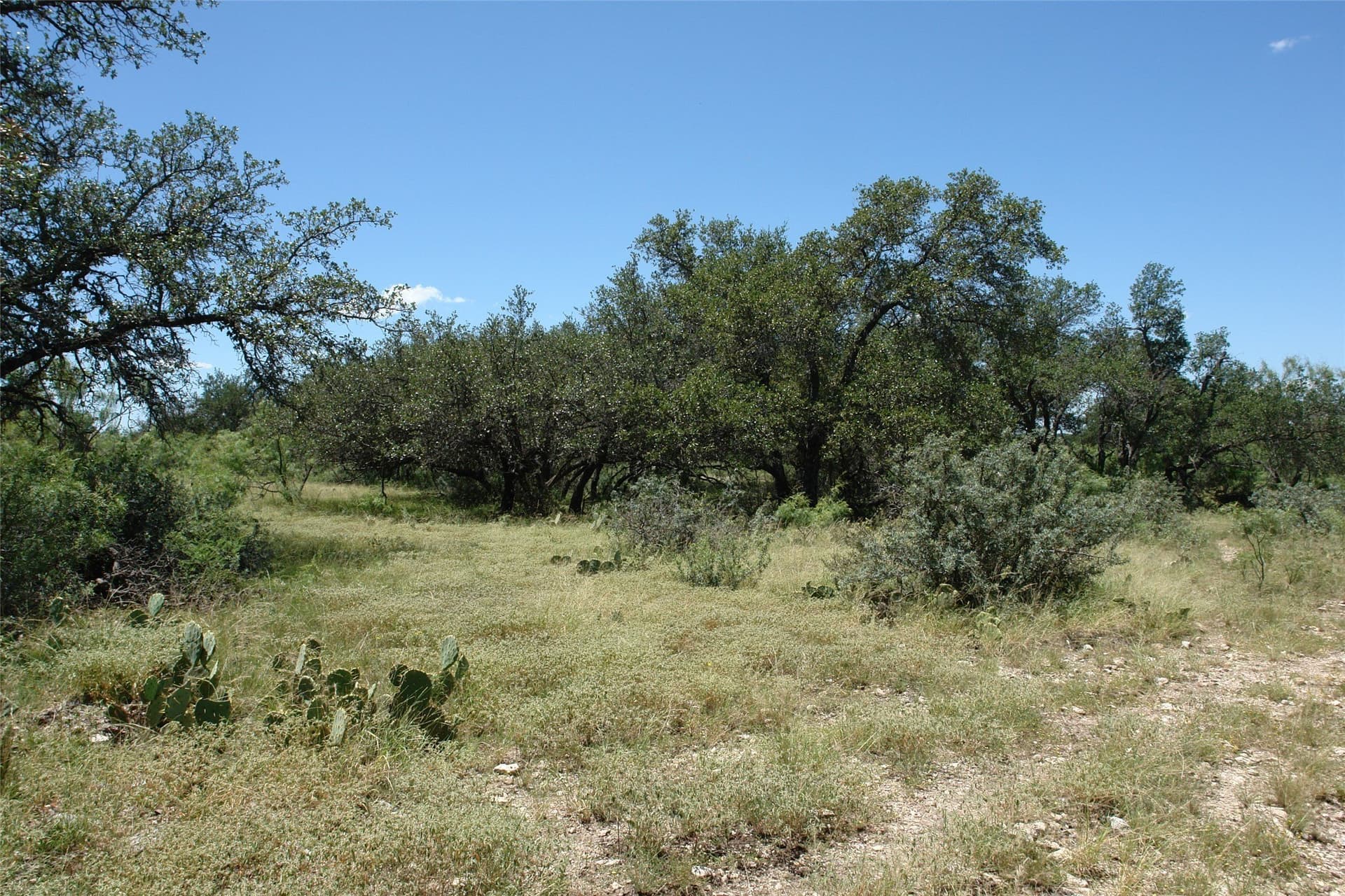 310 acres in McCulloch County - photo 12