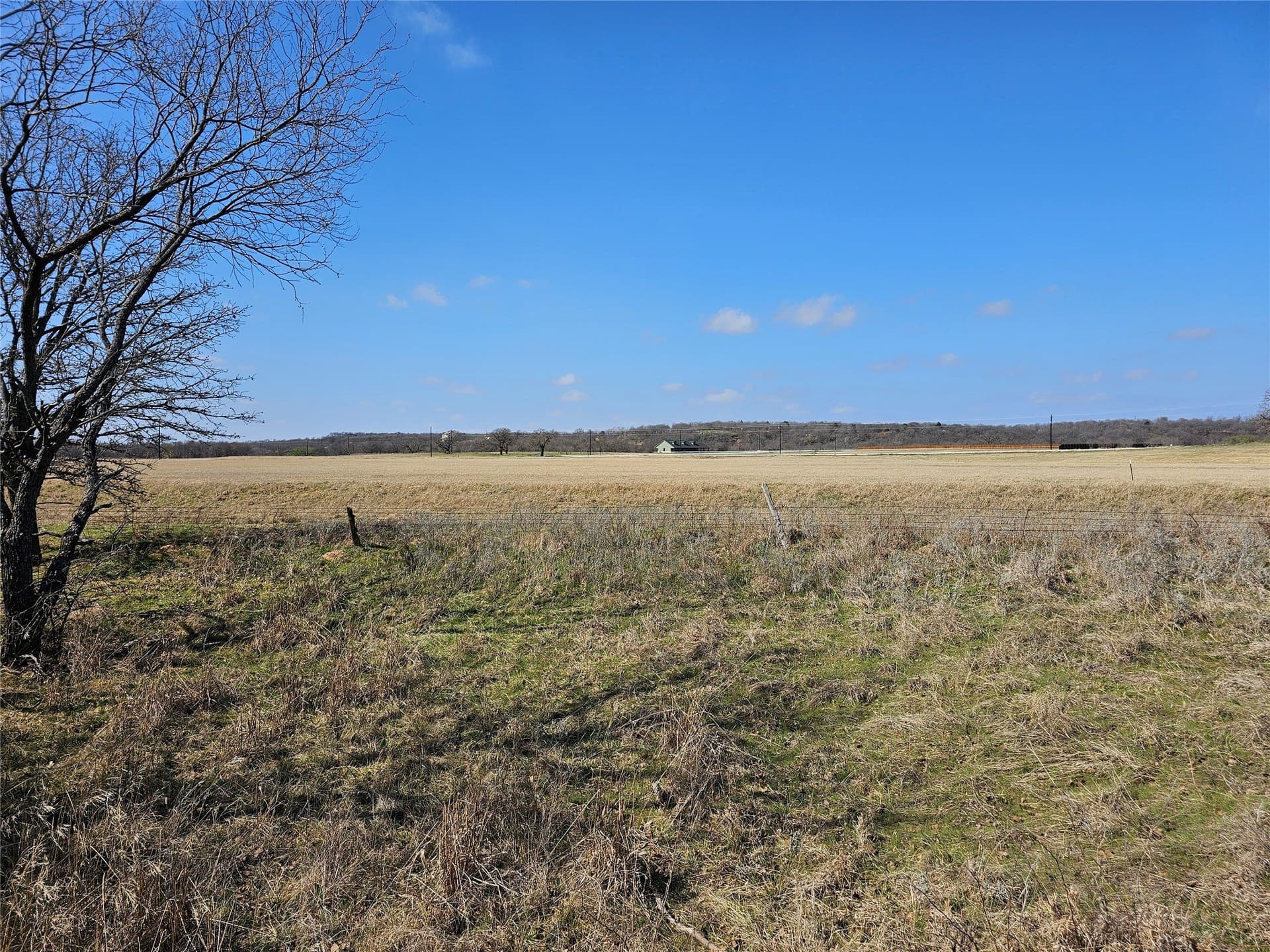 6 acres in Jack County - photo 6