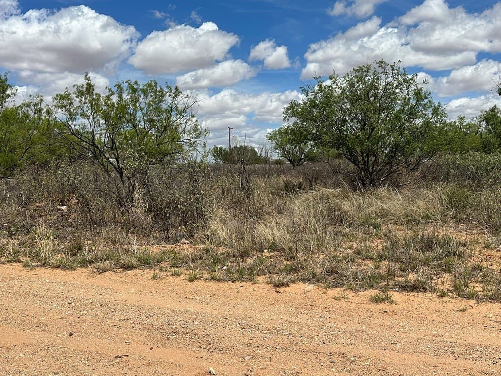 0.32 acres in Mitchell County gallery image 2