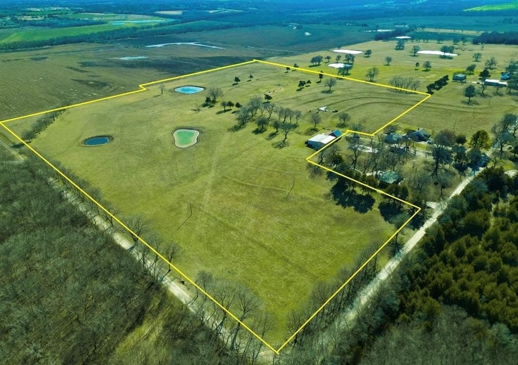 42 acres in Fannin County gallery image 2