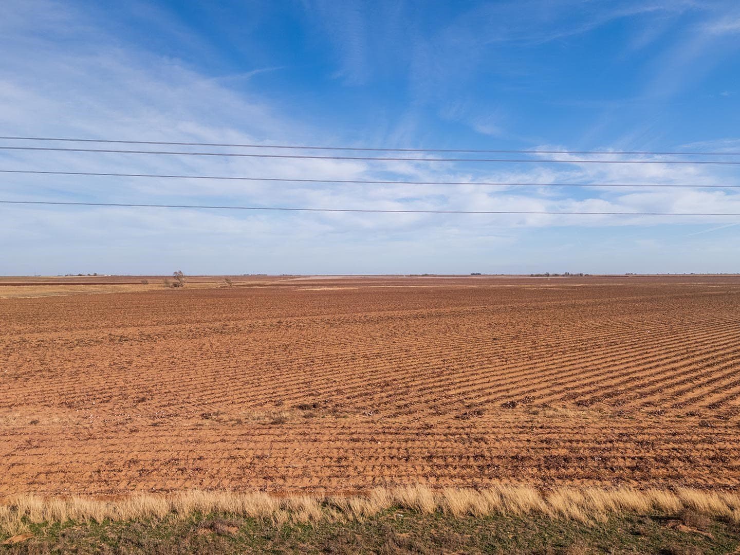 8 acres in Lynn County - photo 14